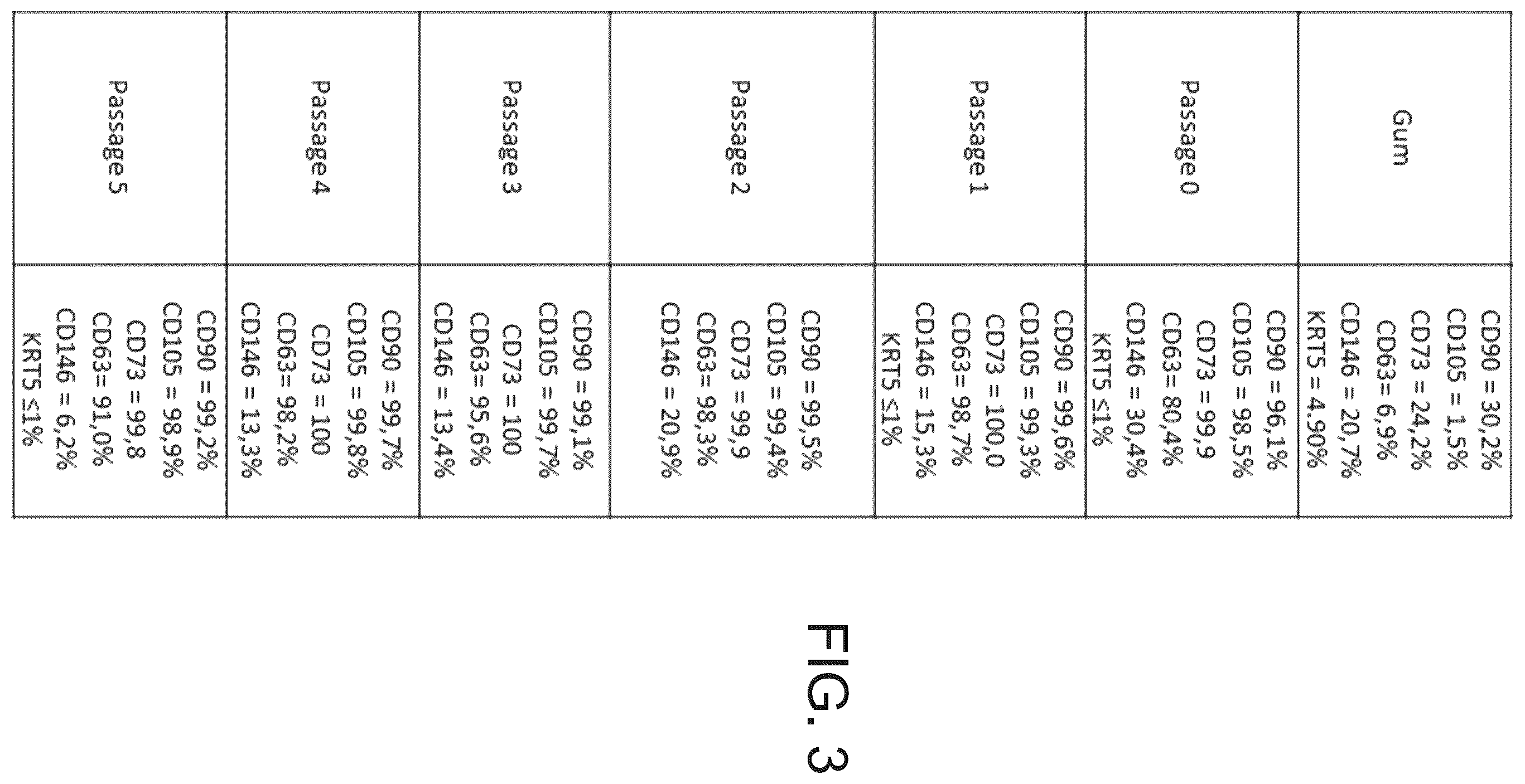Patent US12351823 Figure 2 – Mammalian cell population and medicaments for cell therapies in equines and improved cell cultivation methods