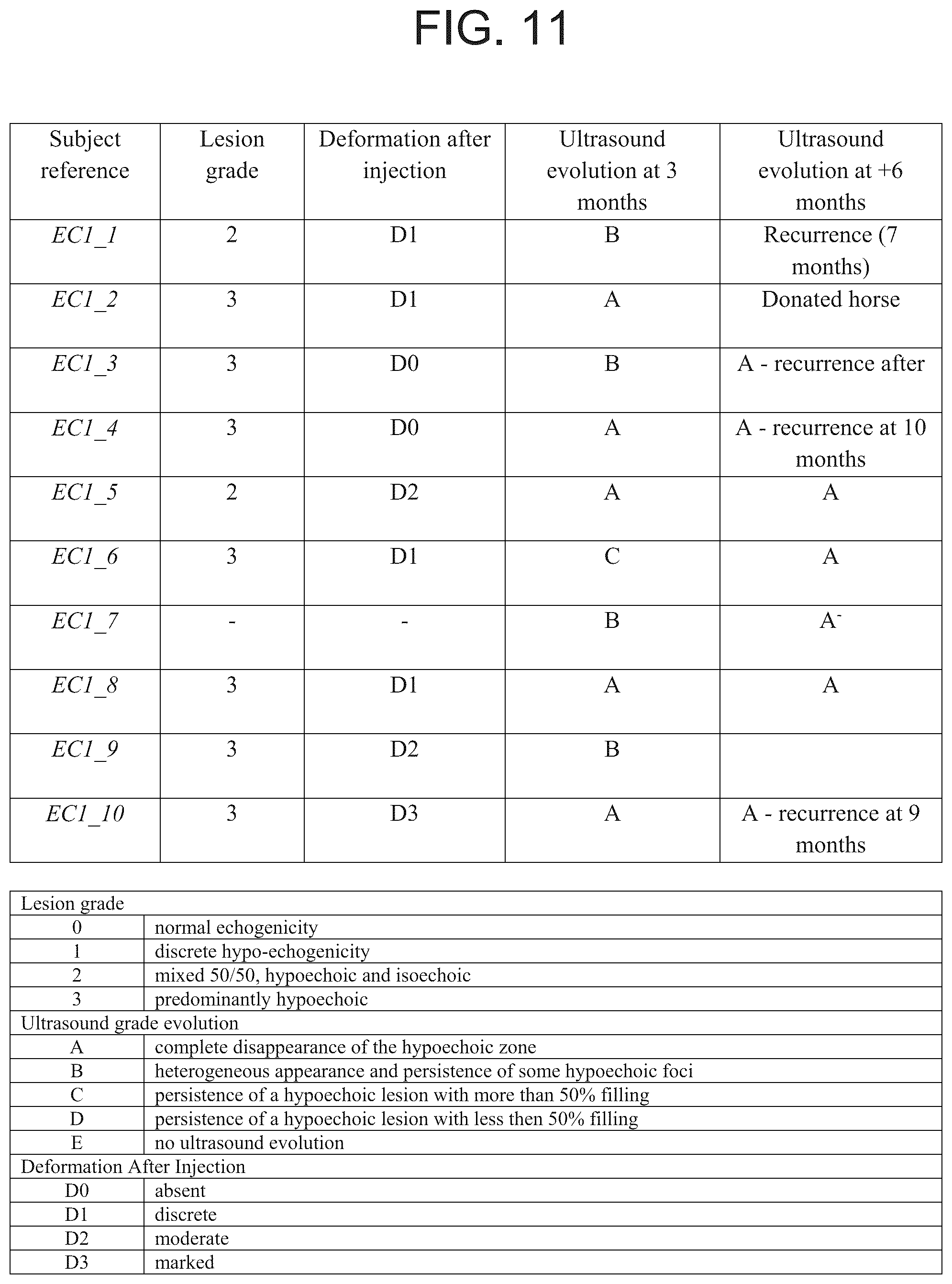 Patent US12351823 Figure 7 – Mammalian cell population and medicaments for cell therapies in equines and improved cell cultivation methods