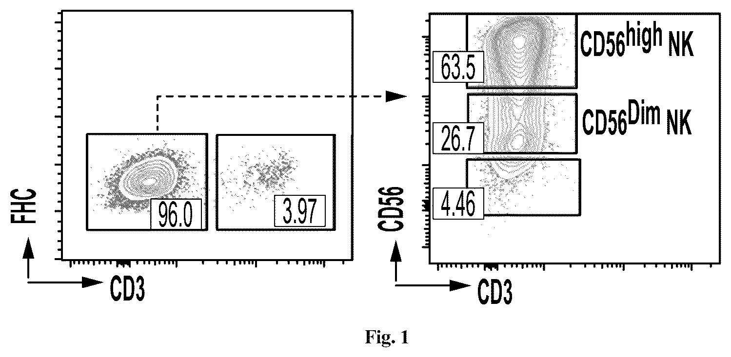 Patent US12351824 Figure 1 – Method for producing natural killer cells from pluripotent stem cells