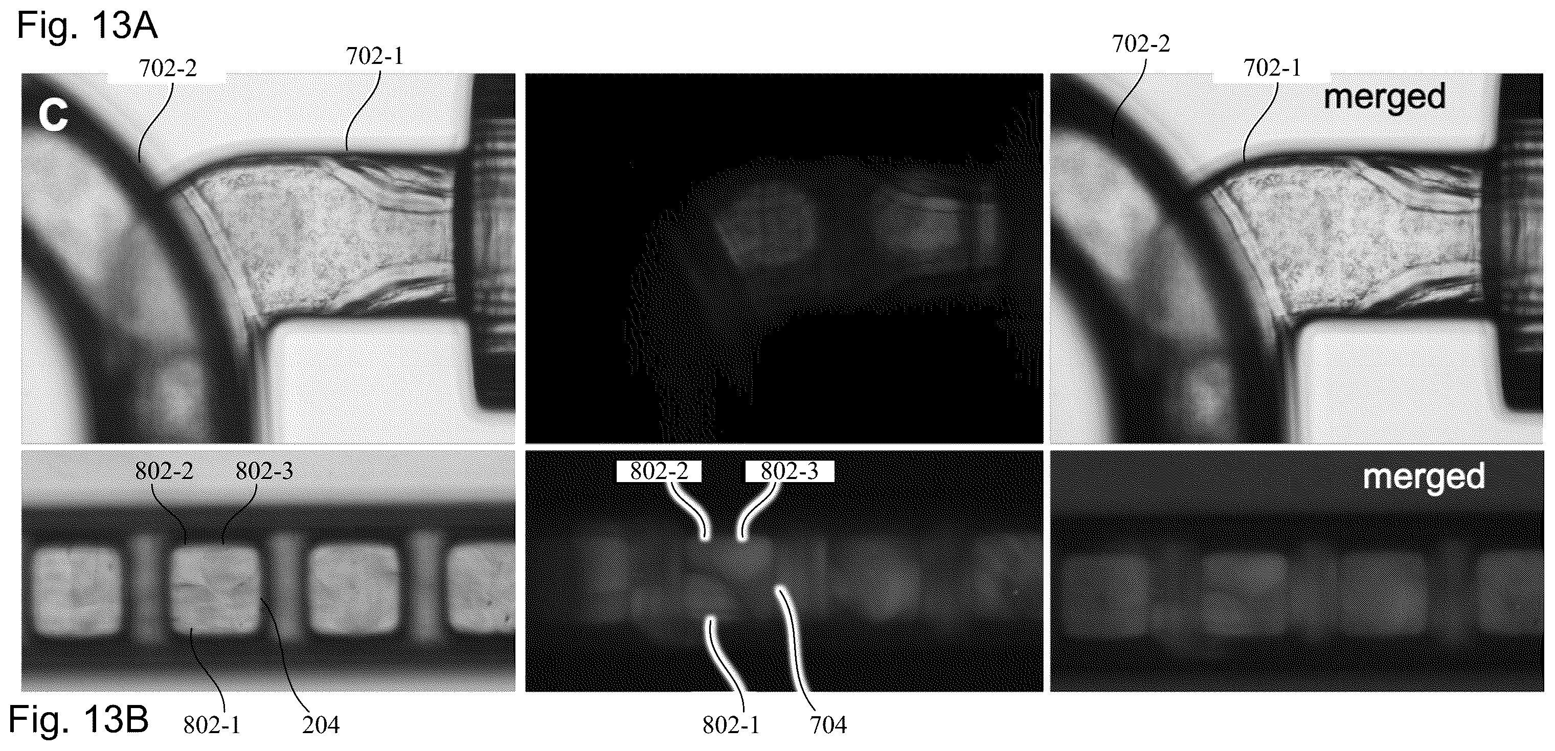 Patent US12351827 Figure 13 – Systems and methods fabricating a microchannel vascular network device and seeding a microchannel