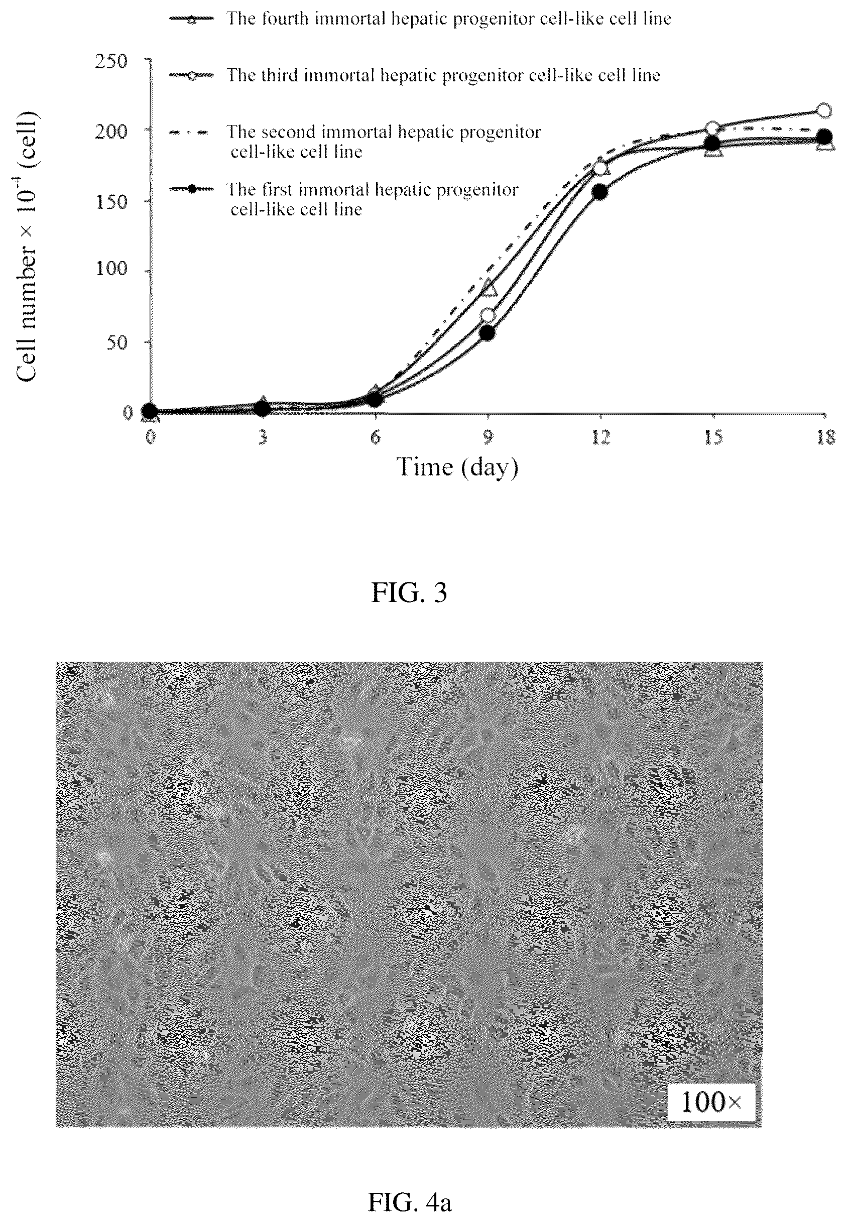 Patent US12351828 Figure 2 – Method for constructing hepatic progenitor cell-like cell bank, cell lines prepared therefrom and application thereof