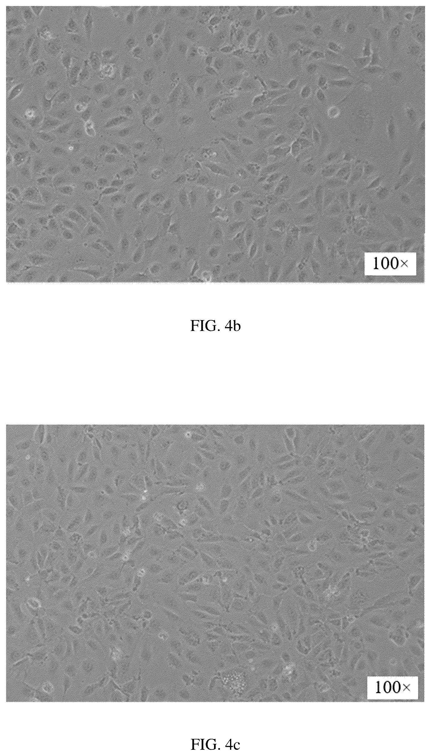 Patent US12351828 Figure 3 – Method for constructing hepatic progenitor cell-like cell bank, cell lines prepared therefrom and application thereof