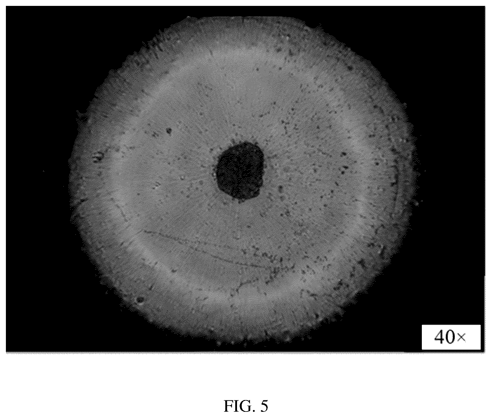 Patent US12351828 Figure 5 – Method for constructing hepatic progenitor cell-like cell bank, cell lines prepared therefrom and application thereof