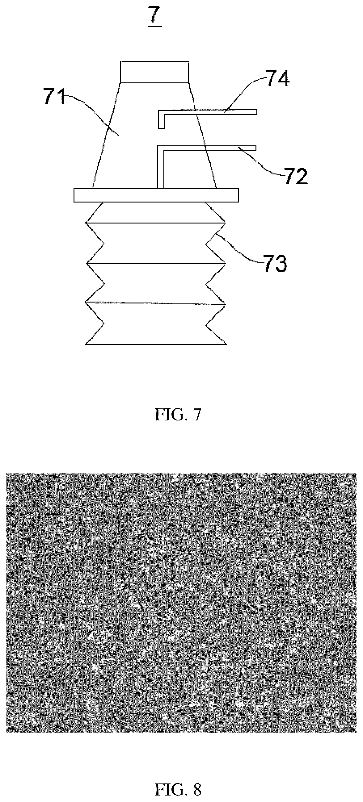 Patent US12351828 Figure 9 – Method for constructing hepatic progenitor cell-like cell bank, cell lines prepared therefrom and application thereof