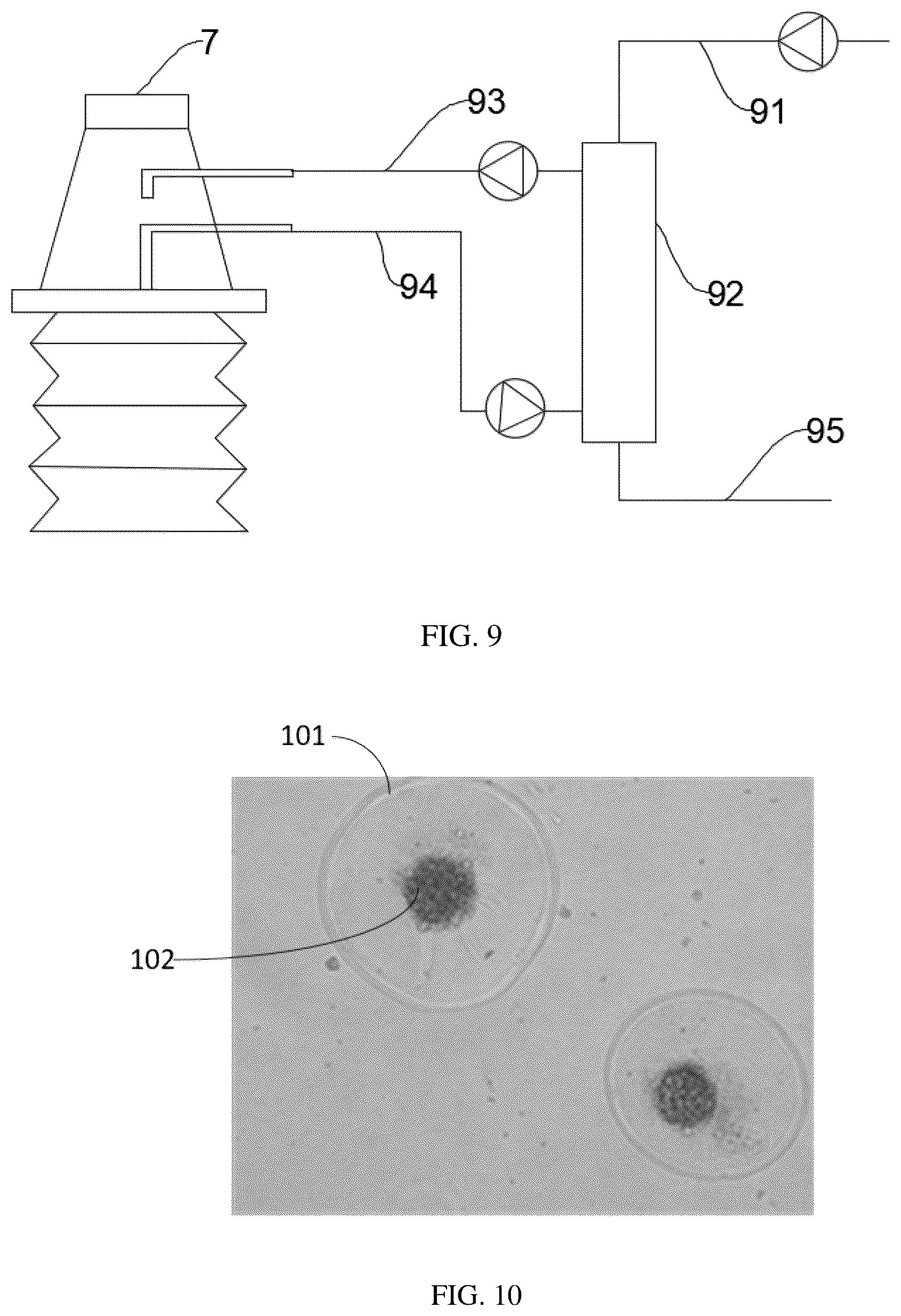 Patent US12351828 Figure 10 – Method for constructing hepatic progenitor cell-like cell bank, cell lines prepared therefrom and application thereof