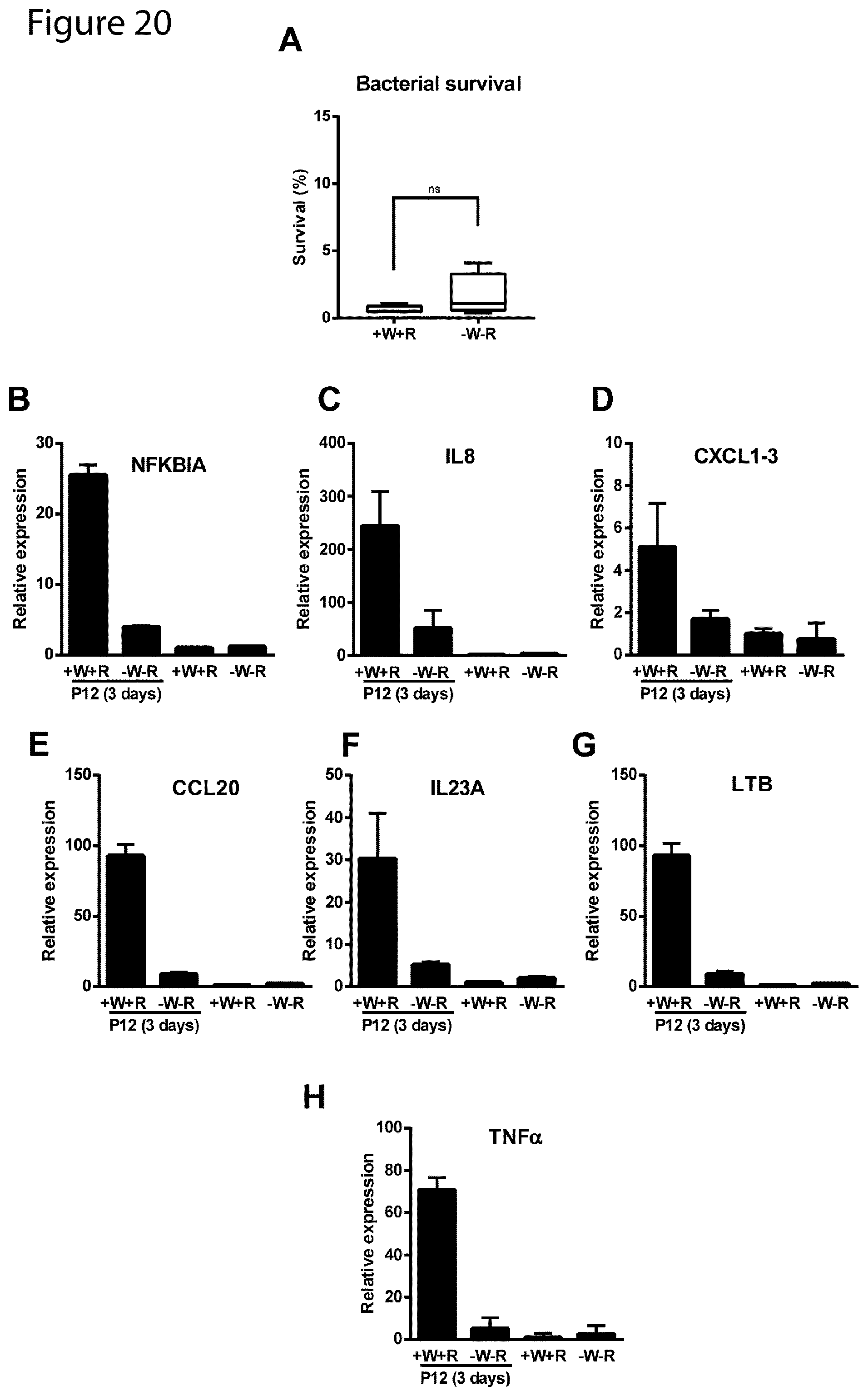 Patent US12351829 Figure 20 – Generation, proliferation and expansion of epithelial cells from primary tissue into mucosoid cultures