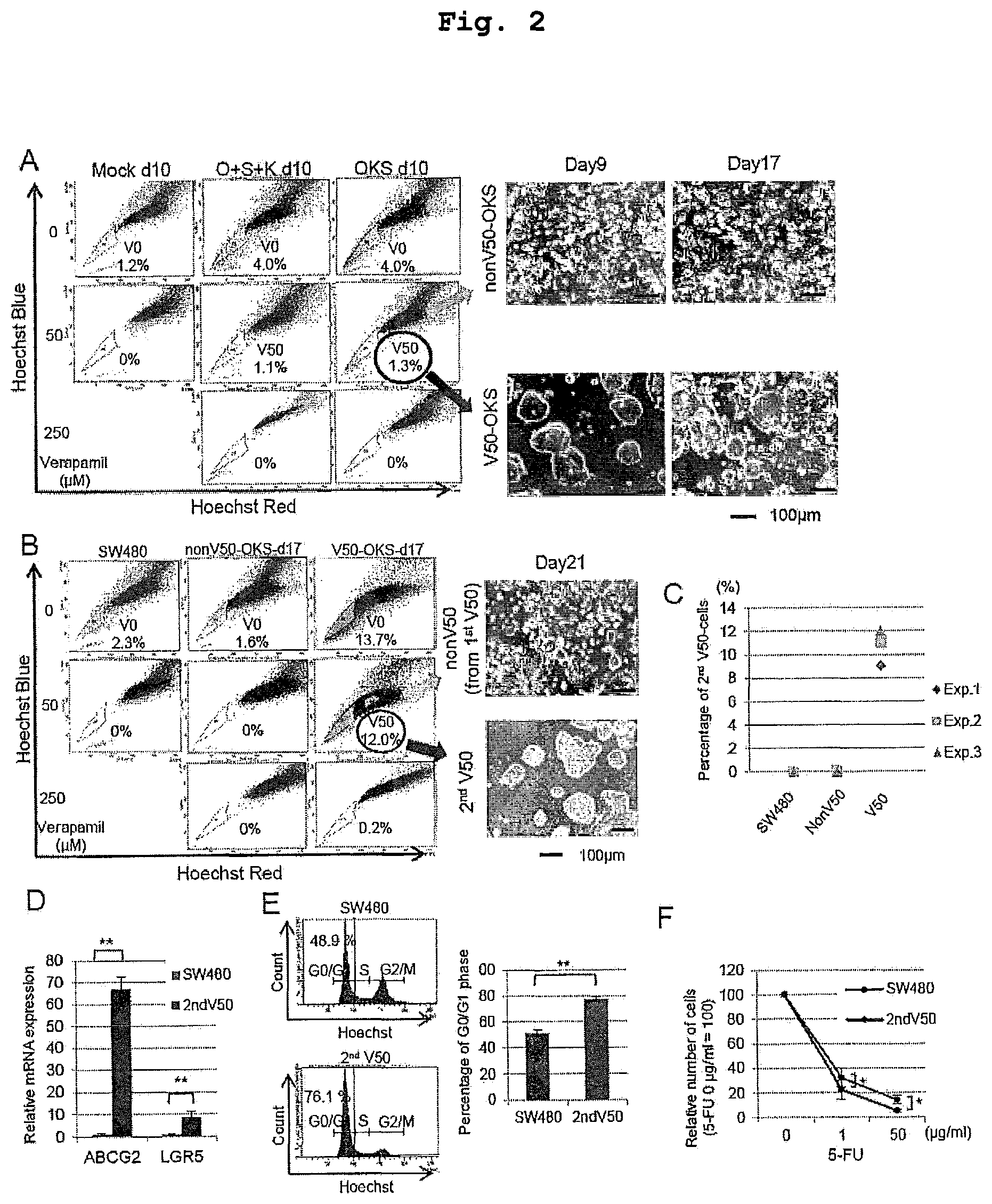 Patent US12351830 Figure 2 – Method for maintaining and amplifying colon cancer stem cells and method for inducing colon cancer organoid