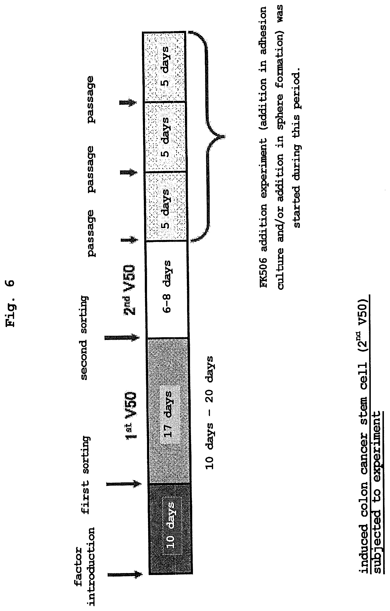 Patent US12351830 Figure 6 – Method for maintaining and amplifying colon cancer stem cells and method for inducing colon cancer organoid