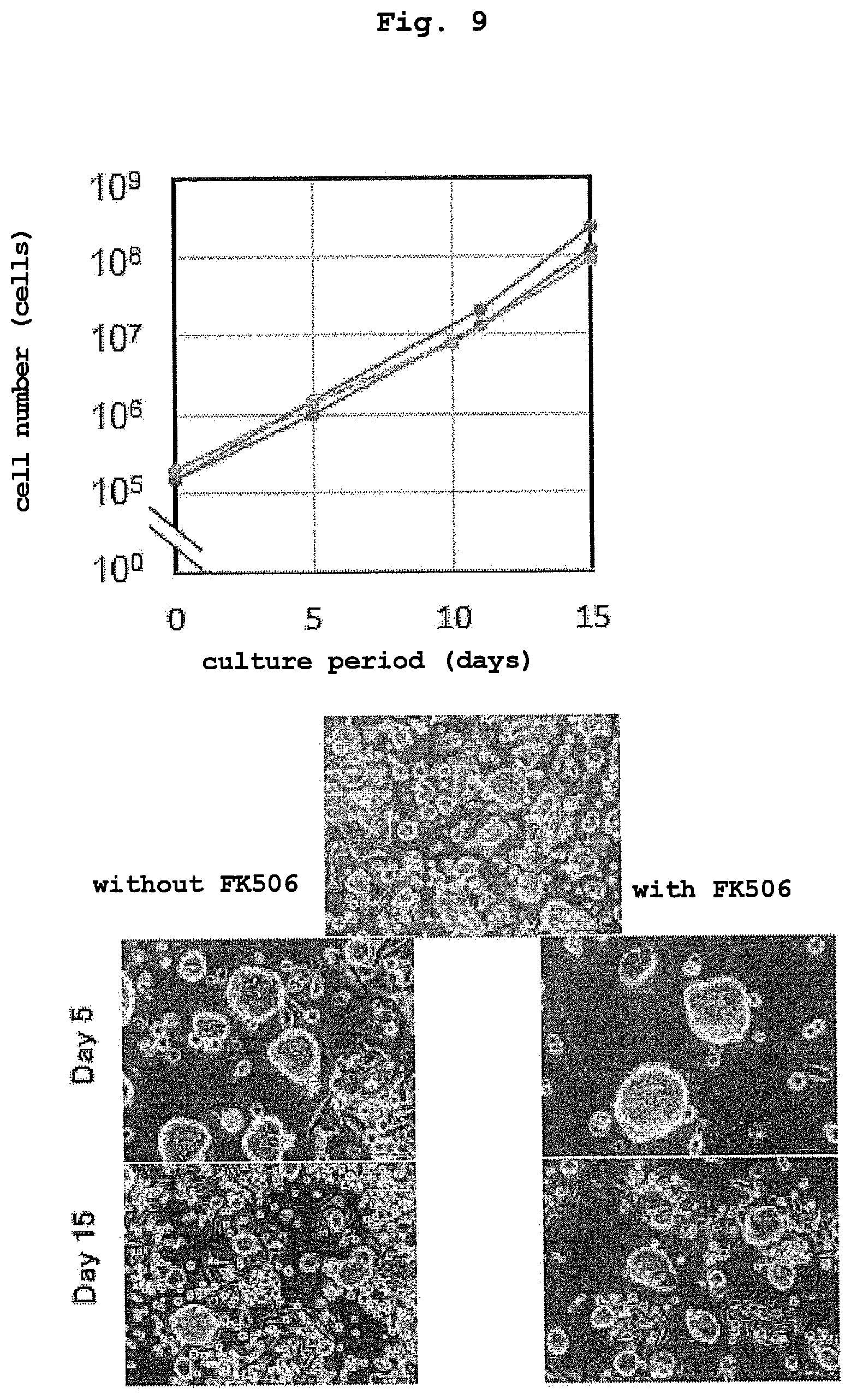 Patent US12351830 Figure 9 – Method for maintaining and amplifying colon cancer stem cells and method for inducing colon cancer organoid