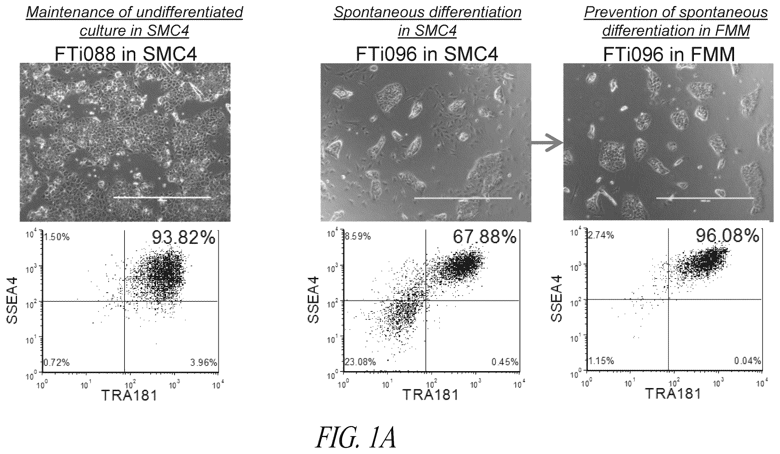 Patent US12351831 Figure 1 – Platform for the induction and maintenance of ground state pluripotency
