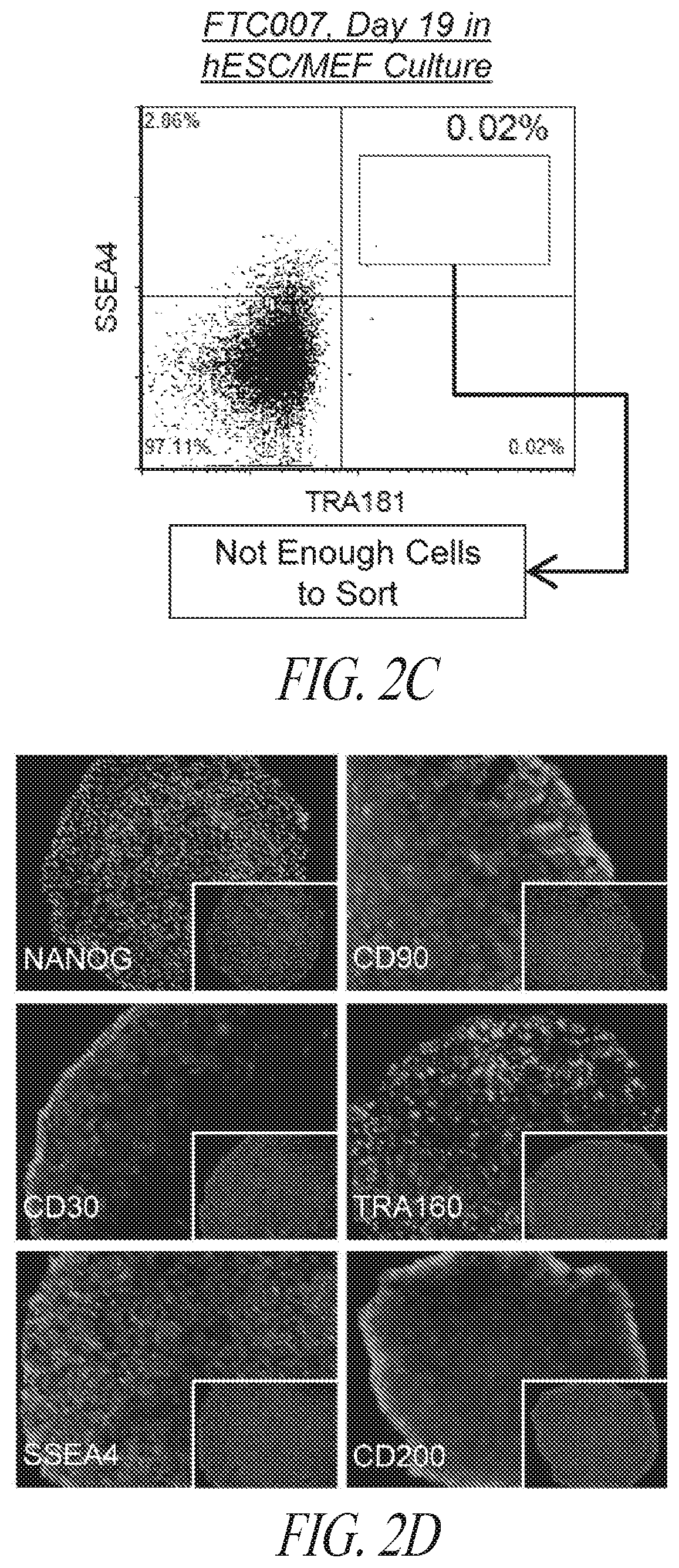 Patent US12351831 Figure 7 – Platform for the induction and maintenance of ground state pluripotency