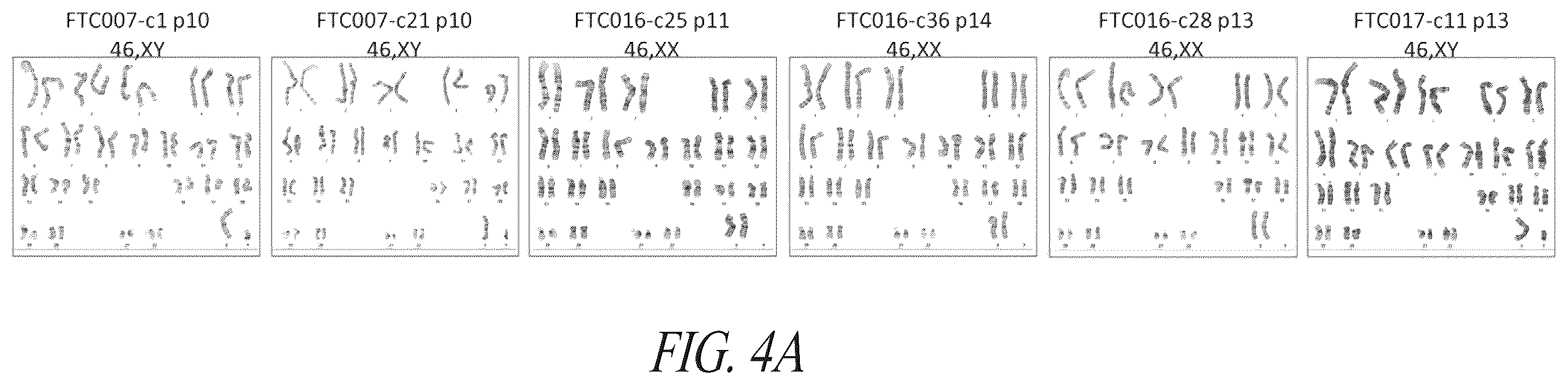 Patent US12351831 Figure 14 – Platform for the induction and maintenance of ground state pluripotency