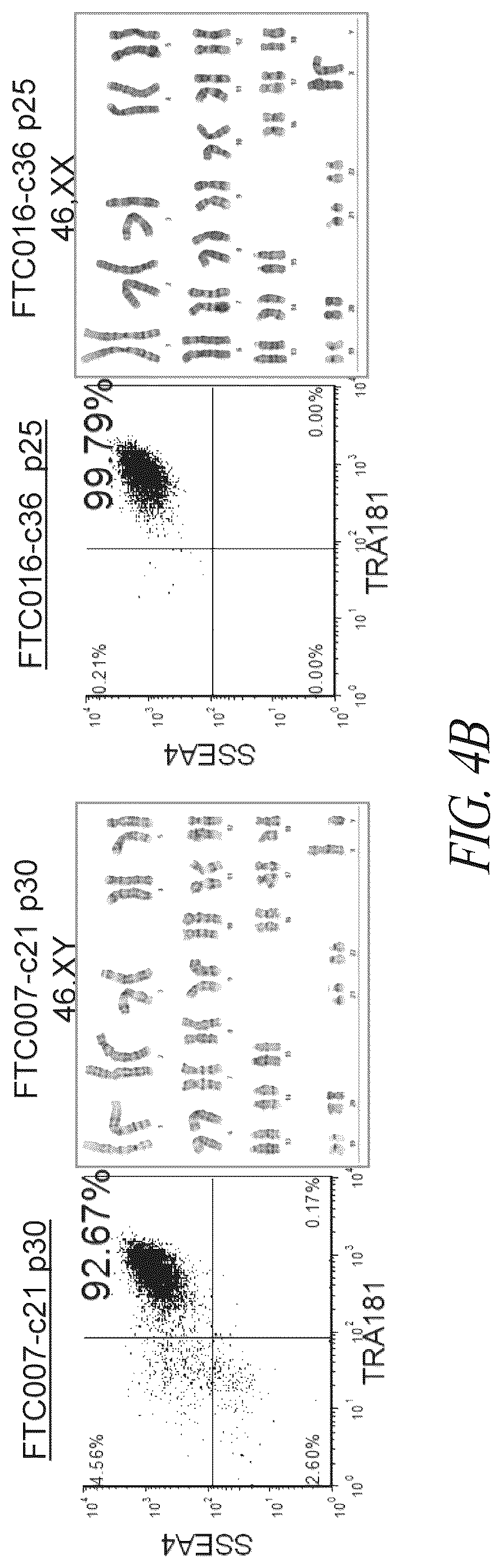 Patent US12351831 Figure 15 – Platform for the induction and maintenance of ground state pluripotency
