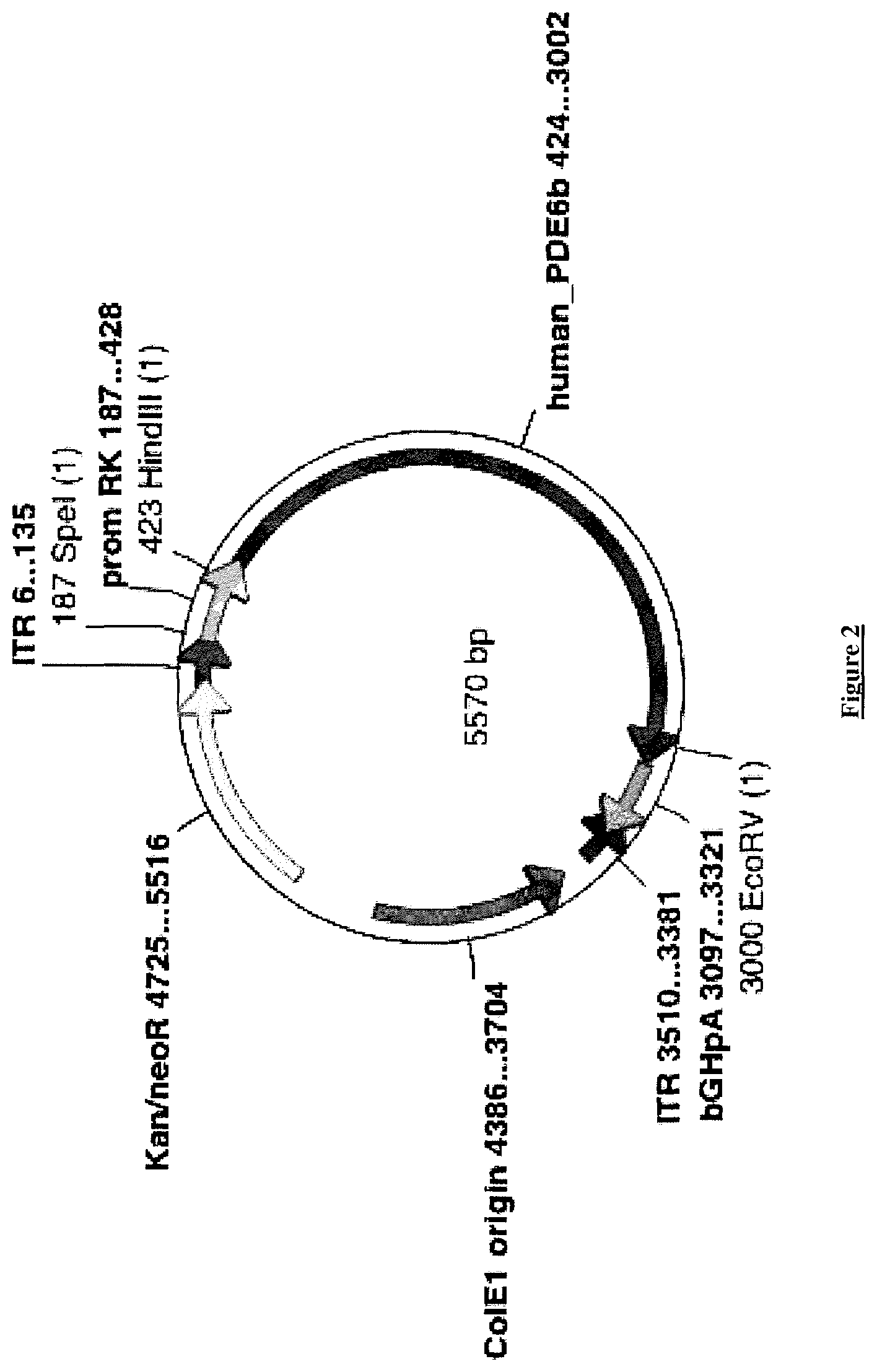 Patent US12351832 Figure 3 – Recombinant adeno-associated virus particle purification with multiple-step anion exchange chromatography