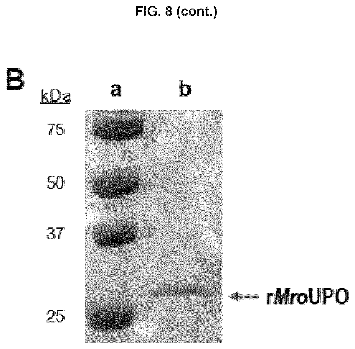 Patent US12351833 Figure 9 – Unspecific peroxygenase enzyme variants for selective fatty acid epoxidation or hydroxylation