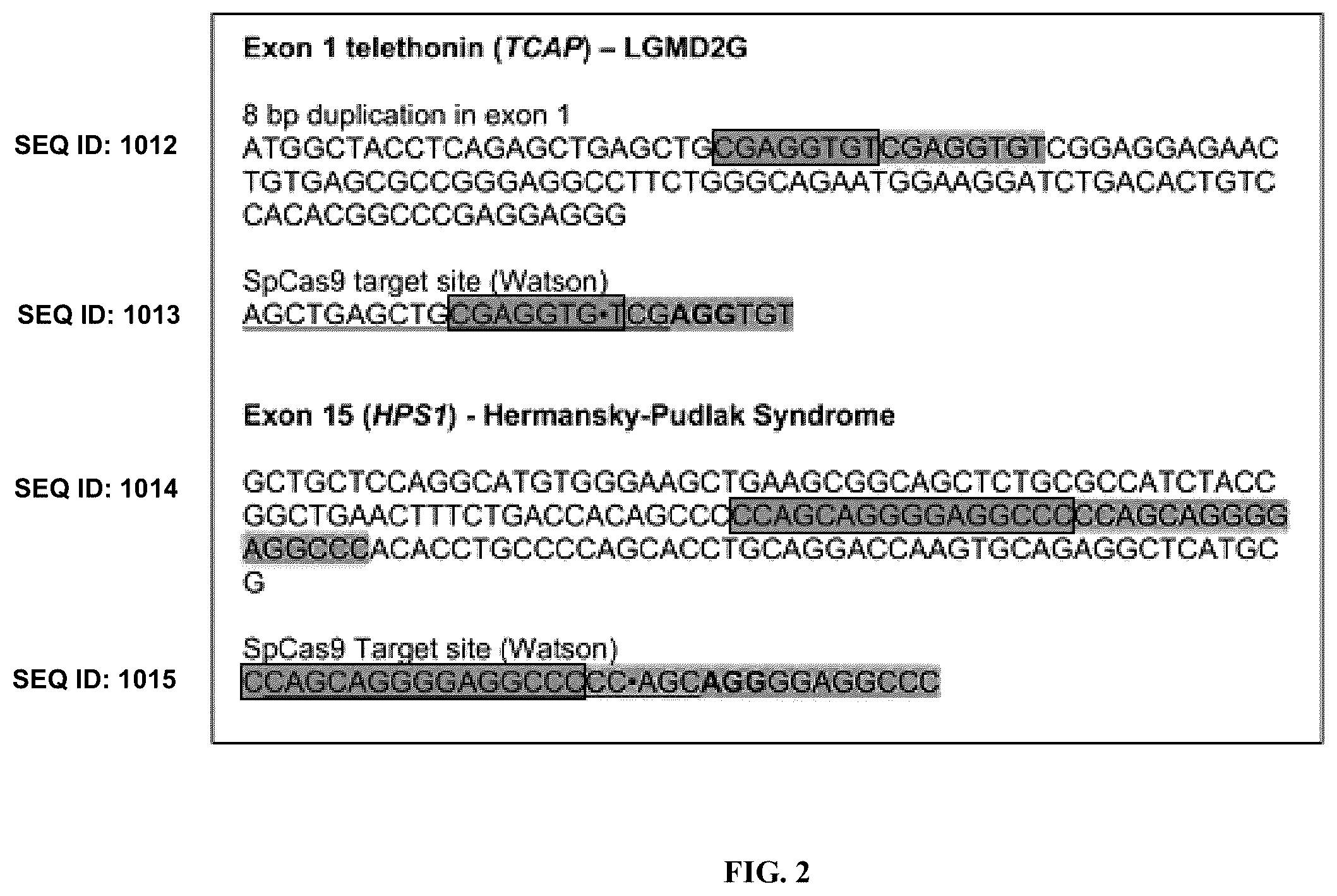 Patent US12351836 Figure 2 – Microhomology mediated repair of microduplication gene mutations