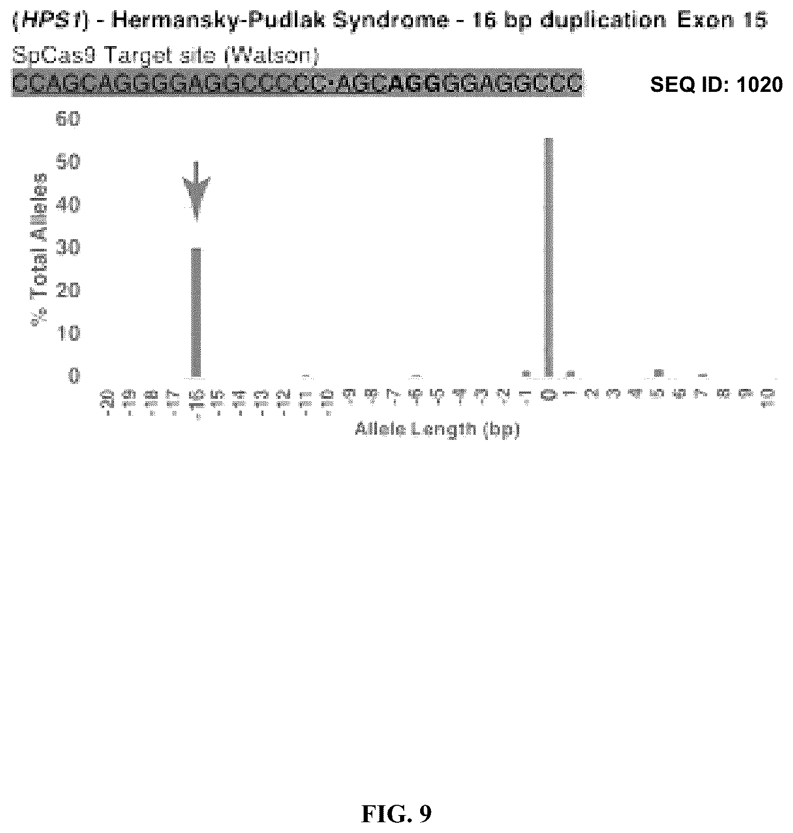 Patent US12351836 Figure 9 – Microhomology mediated repair of microduplication gene mutations