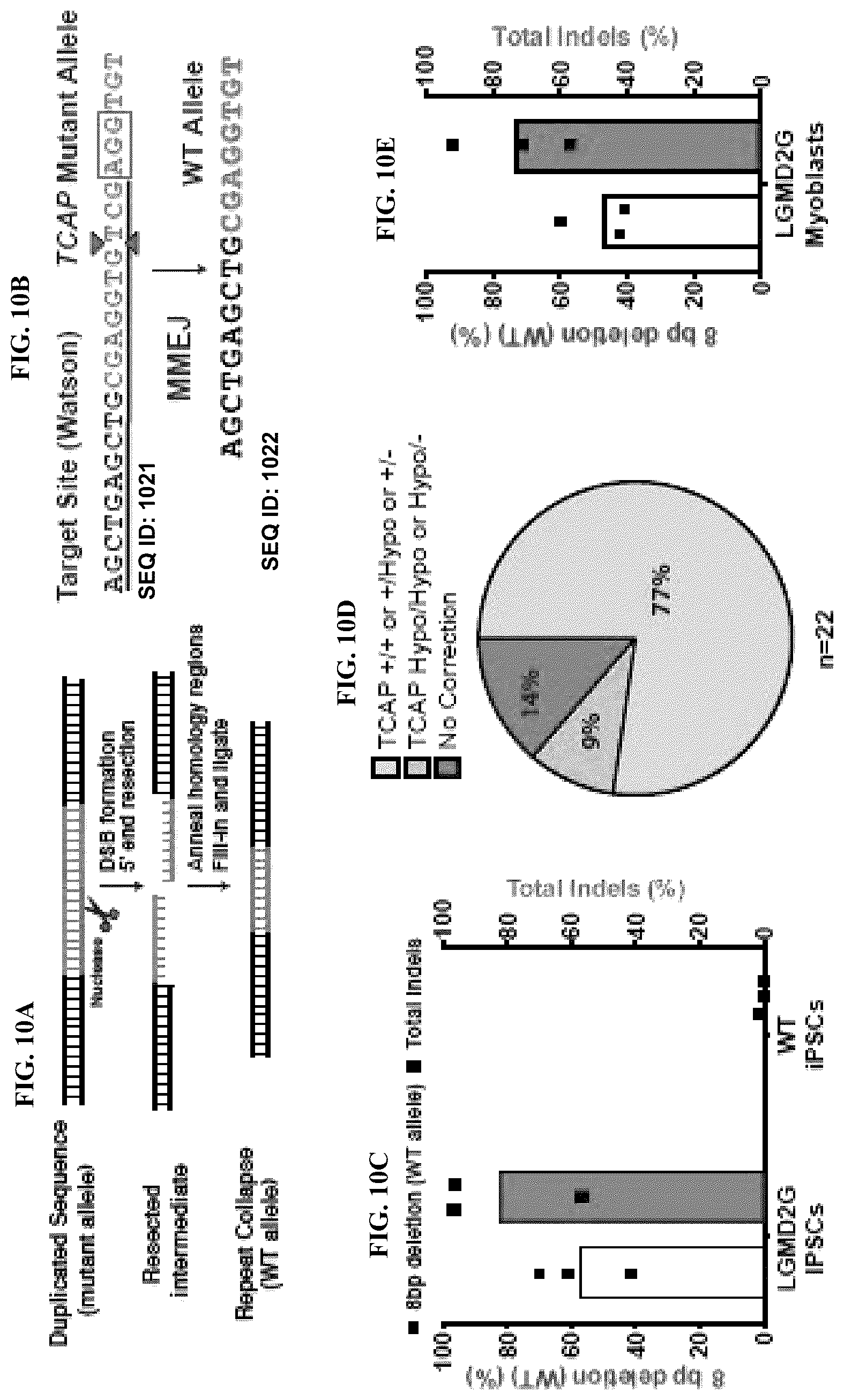 Patent US12351836 Figure 10 – Microhomology mediated repair of microduplication gene mutations