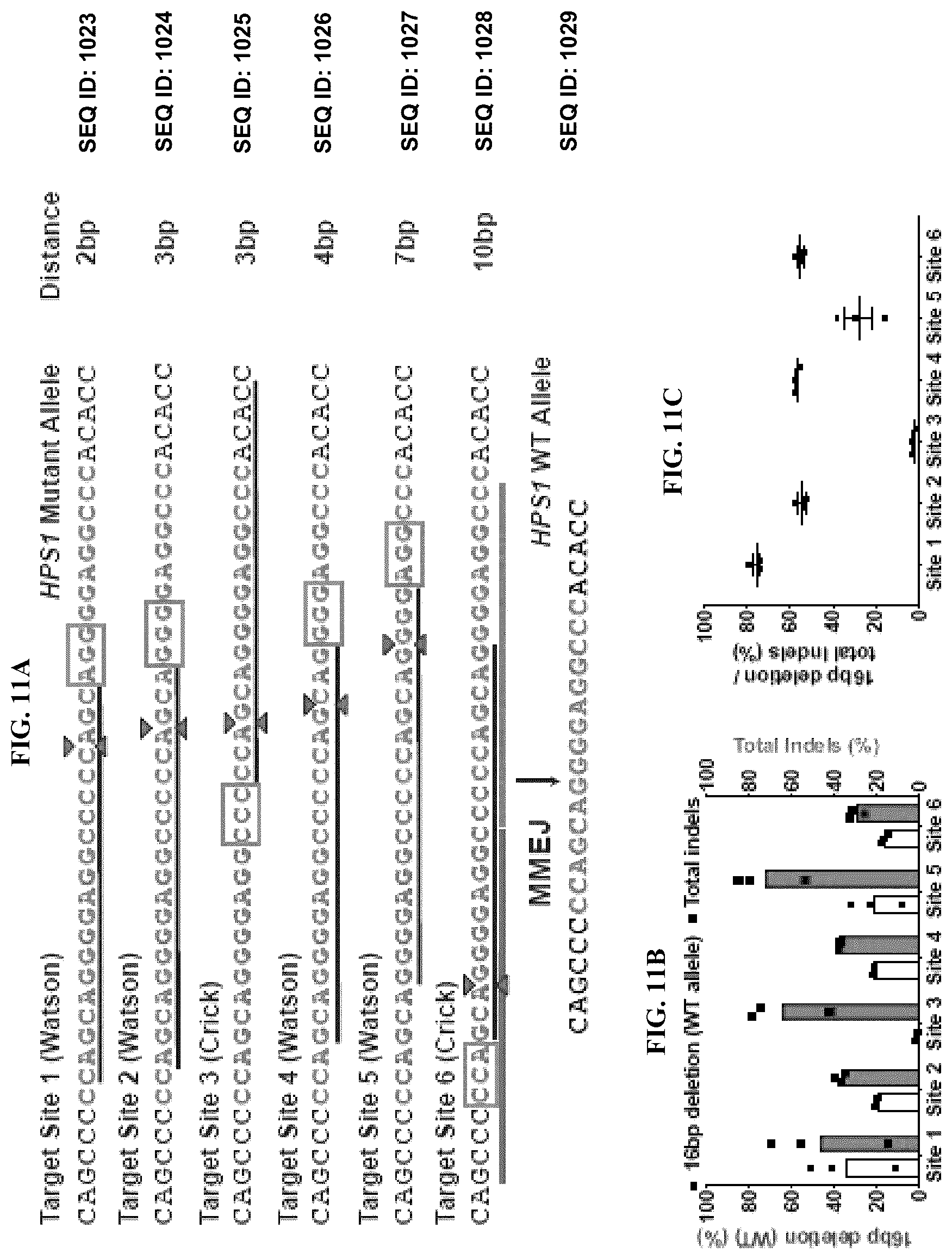 Patent US12351836 Figure 11 – Microhomology mediated repair of microduplication gene mutations