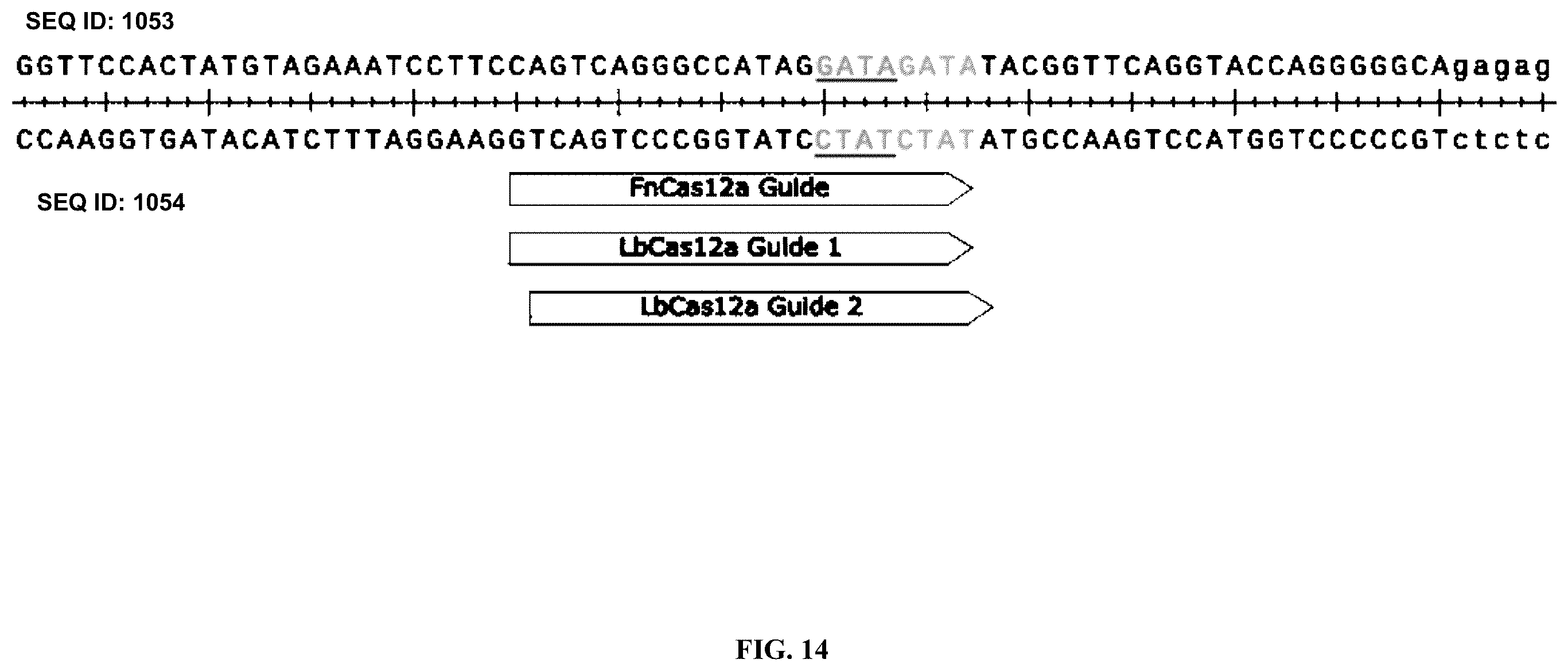 Patent US12351836 Figure 14 – Microhomology mediated repair of microduplication gene mutations