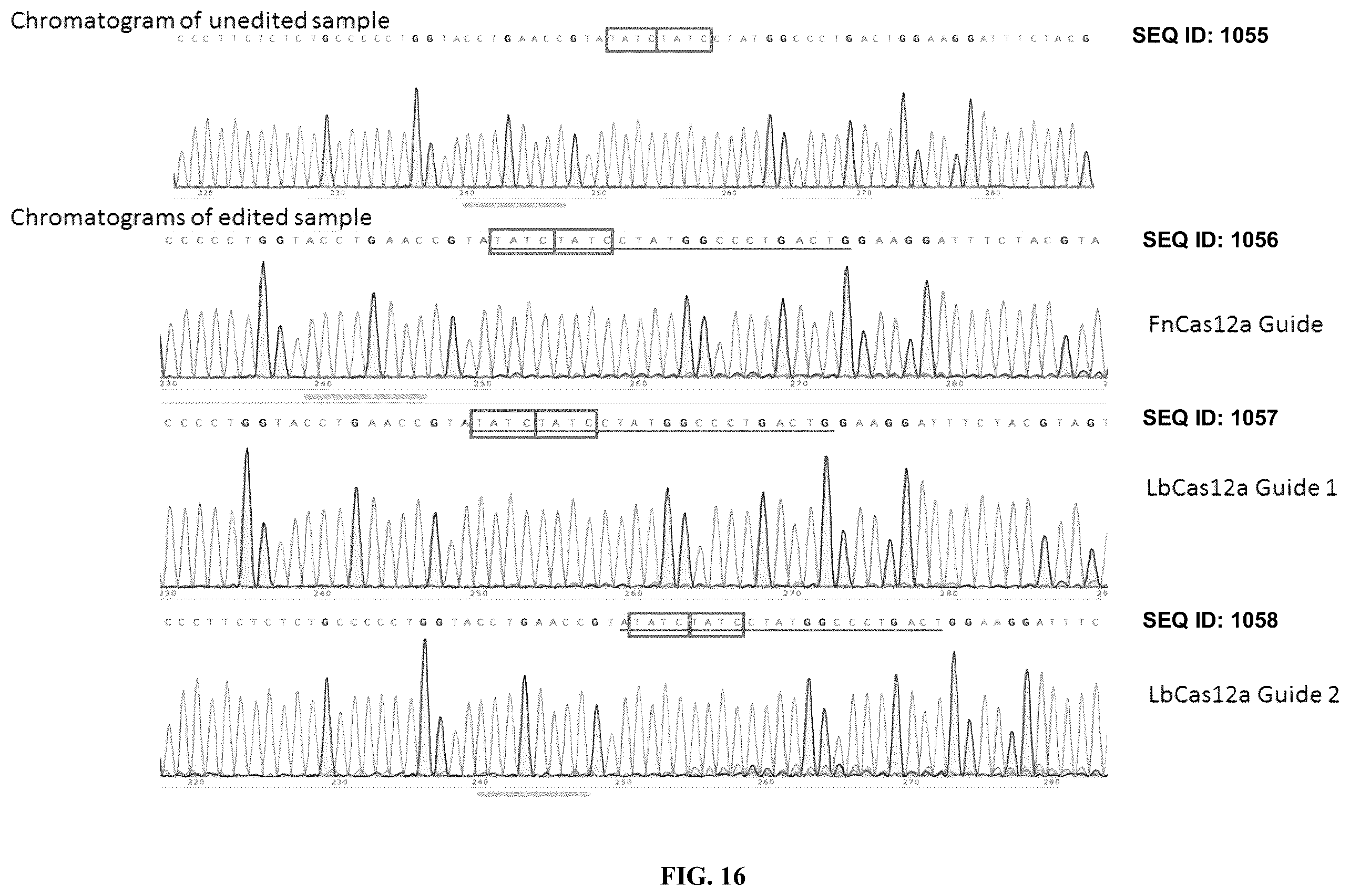 Patent US12351836 Figure 16 – Microhomology mediated repair of microduplication gene mutations