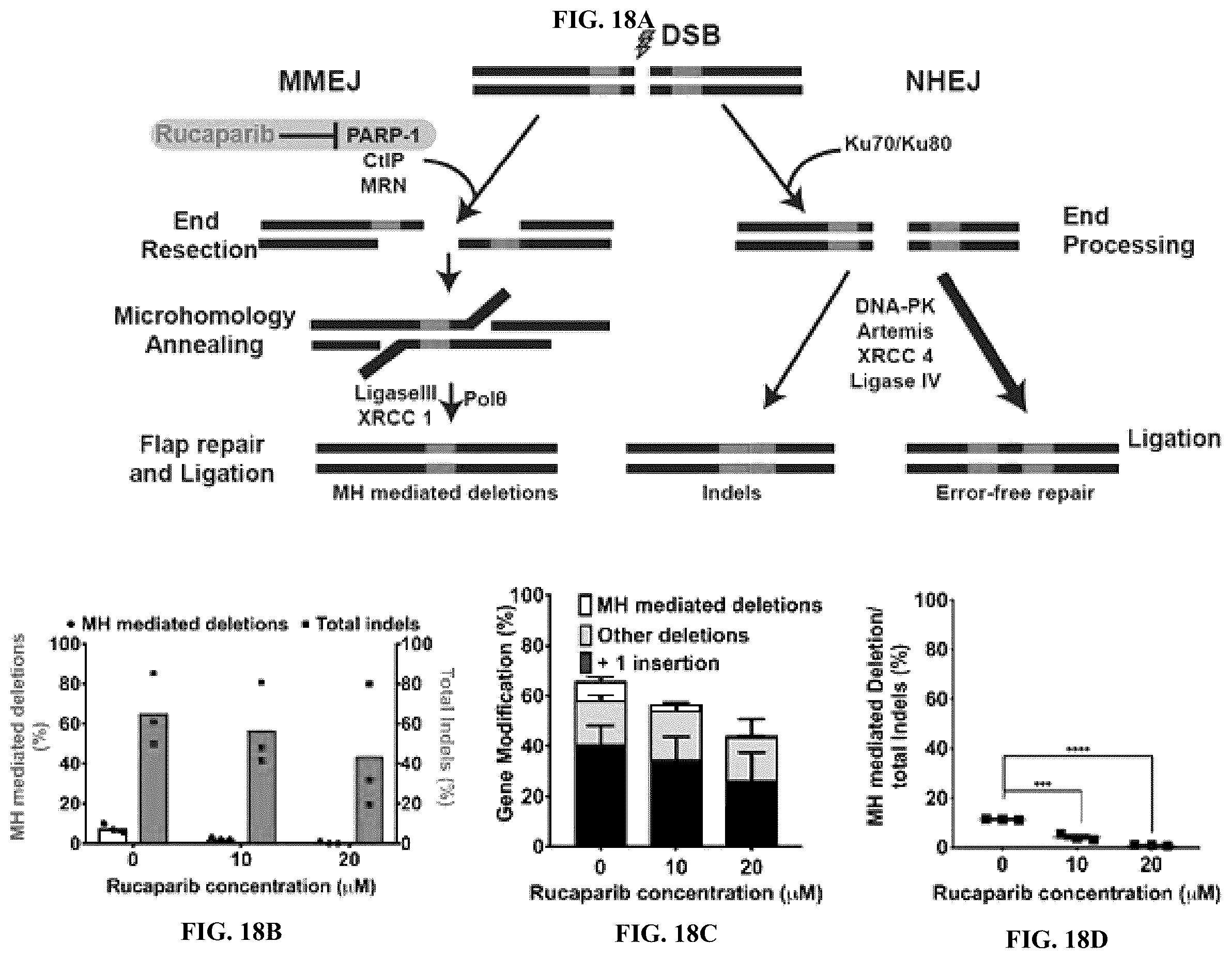 Patent US12351836 Figure 18 – Microhomology mediated repair of microduplication gene mutations