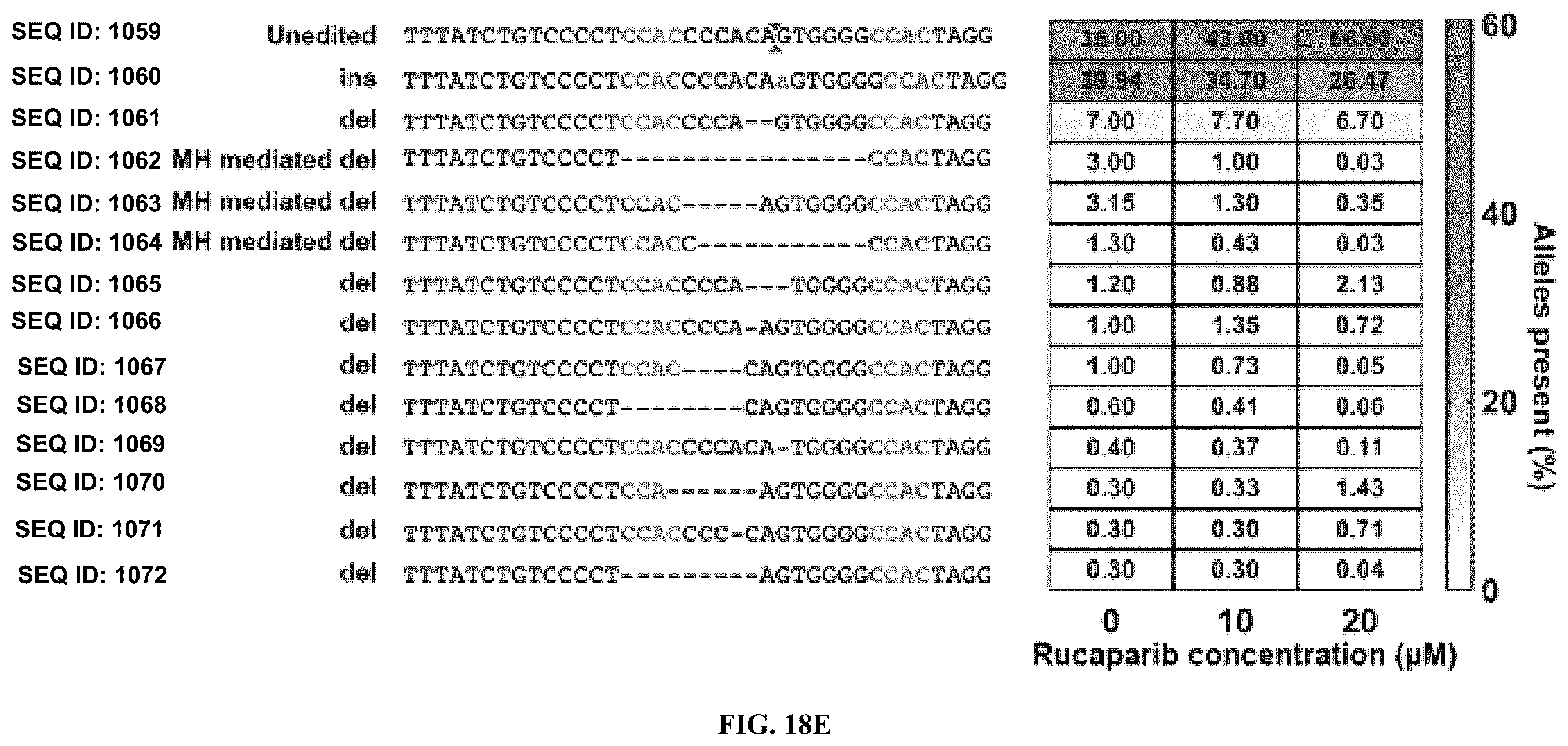Patent US12351836 Figure 19 – Microhomology mediated repair of microduplication gene mutations