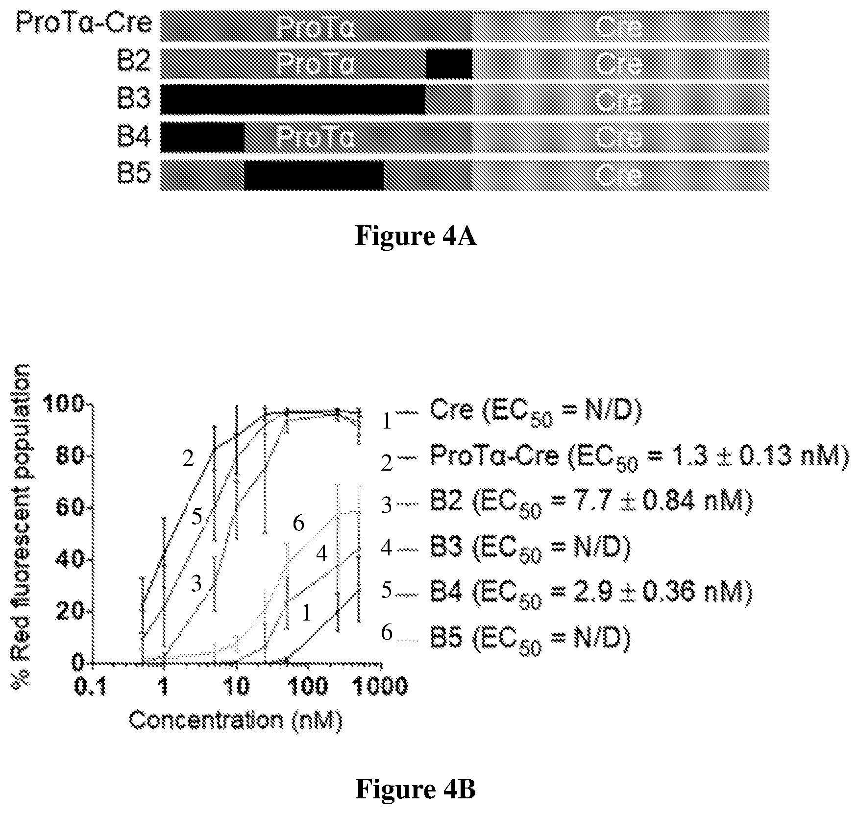 Patent US12351837 Figure 4 – Supernegatively charged proteins and uses thereof