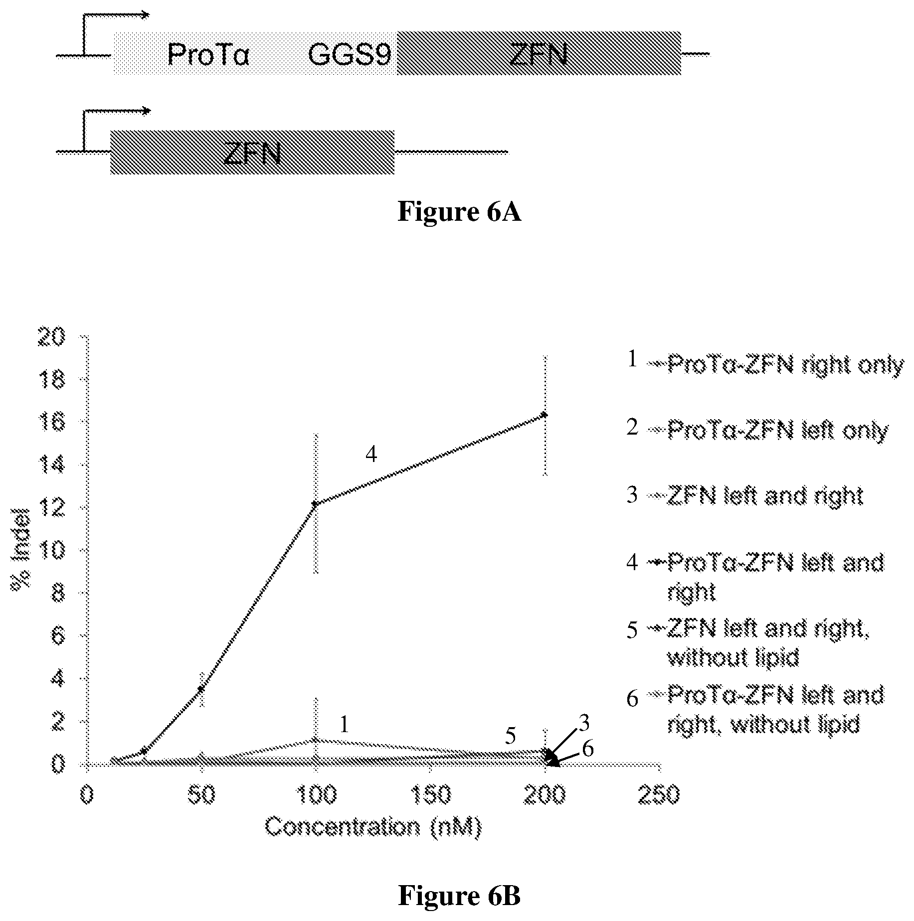 Patent US12351837 Figure 6 – Supernegatively charged proteins and uses thereof