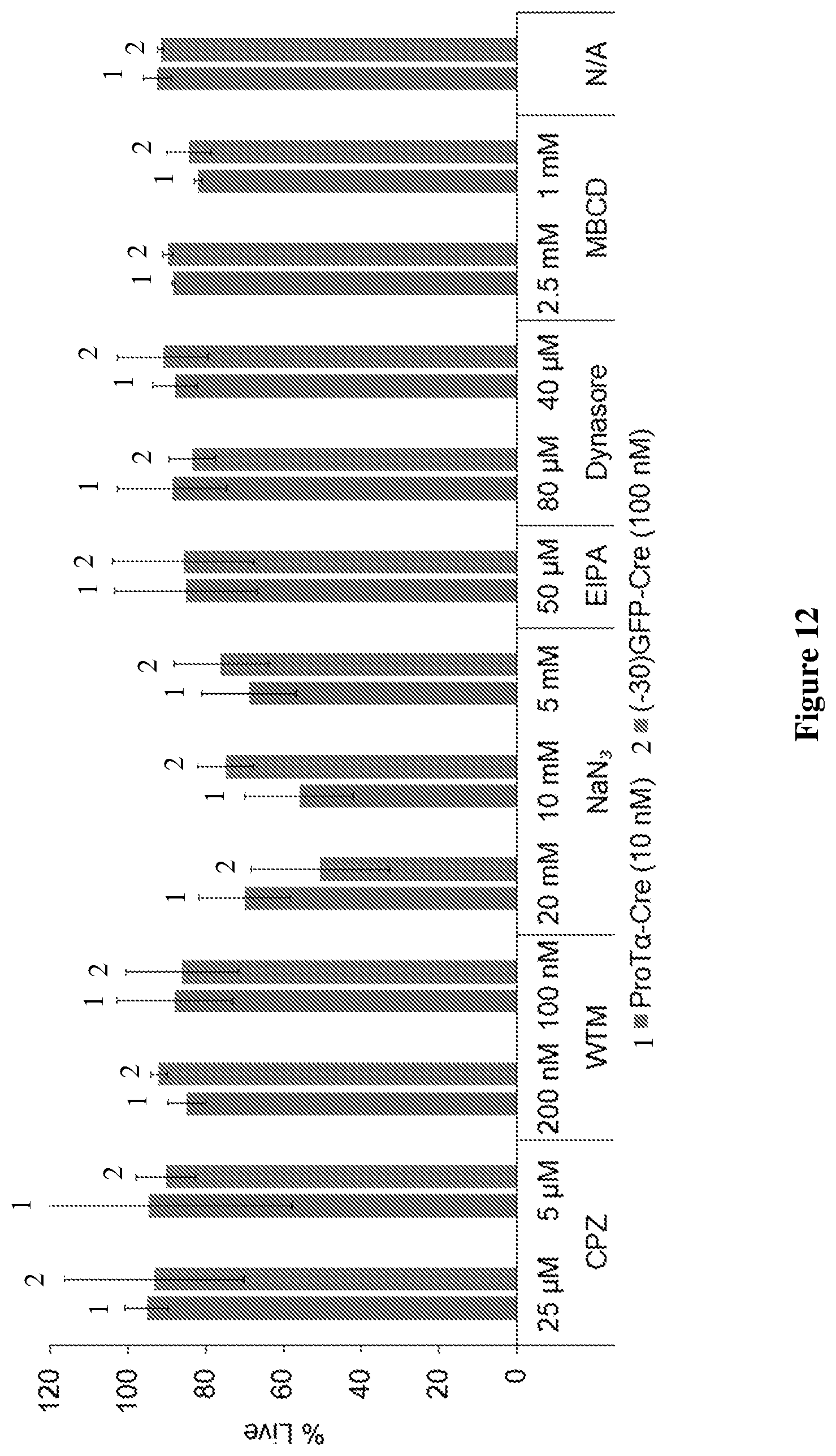 Patent US12351837 Figure 17 – Supernegatively charged proteins and uses thereof