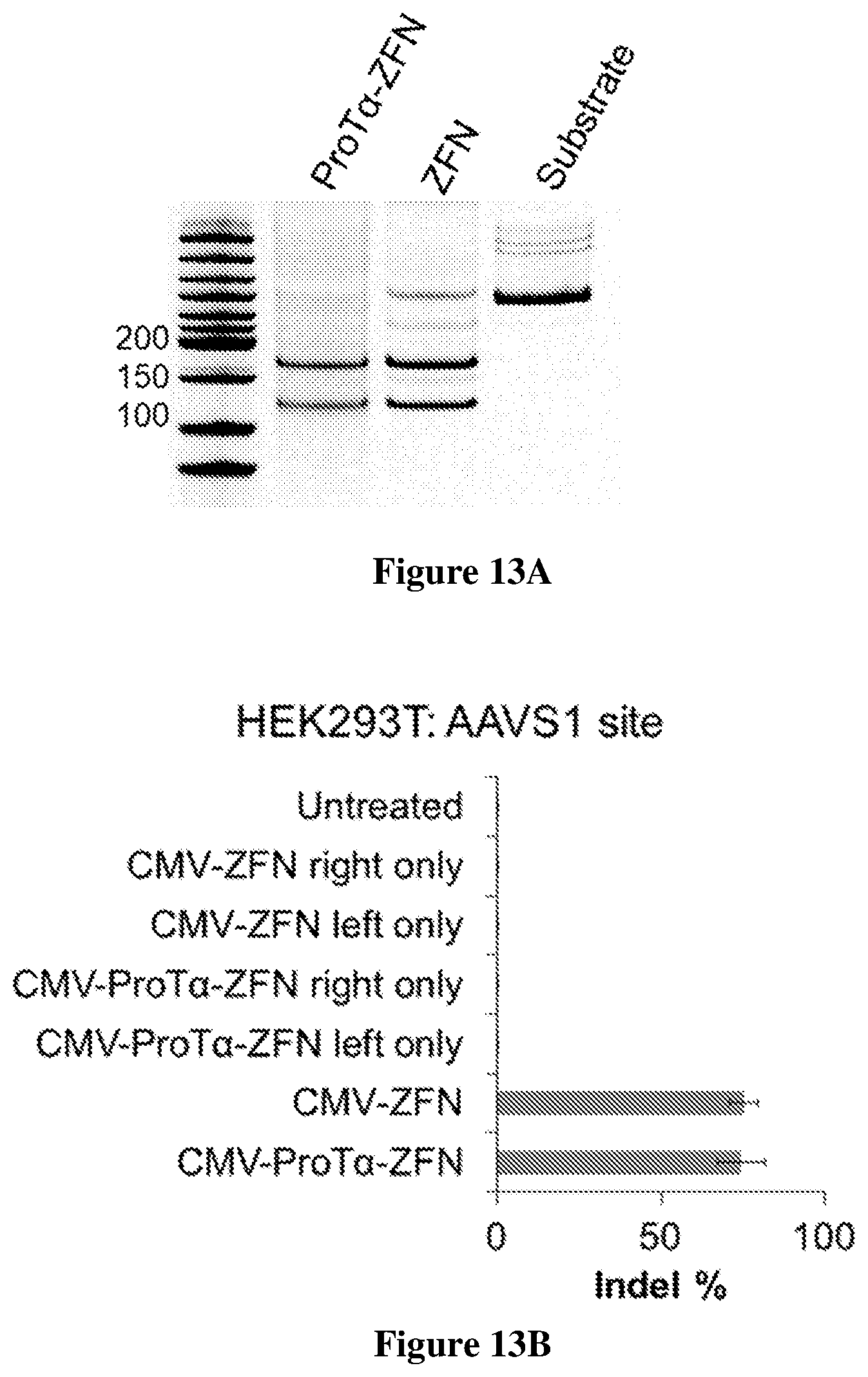 Patent US12351837 Figure 18 – Supernegatively charged proteins and uses thereof