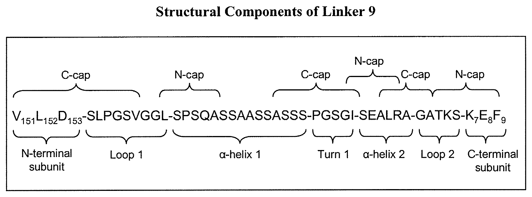 Patent US12351839 Figure 1 – Rationally-designed single-chain meganucleases with non-palindromic recognition sequences