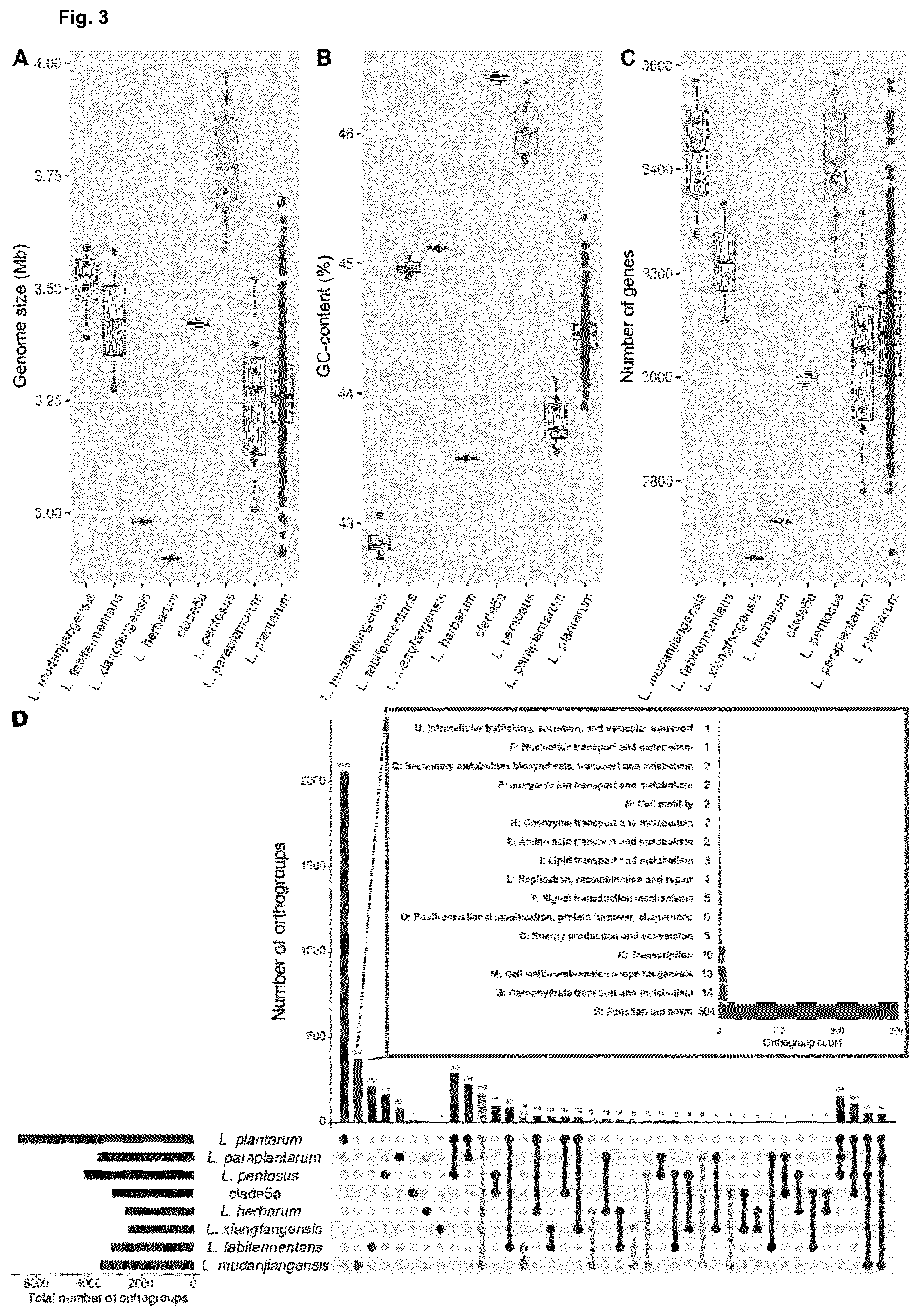 Patent US12351842 Figure 3 – Lactobacillus mudanjiangensis strains and cellulase derived therefrom