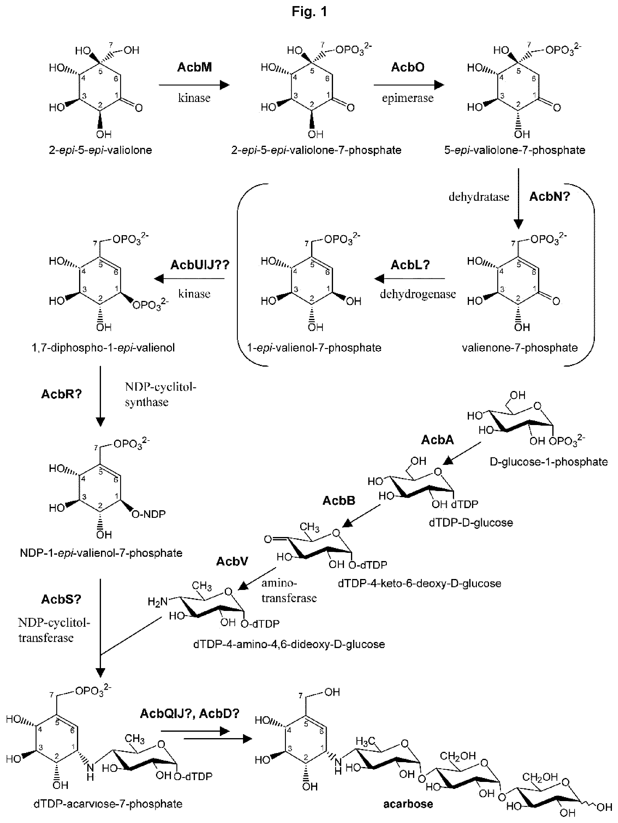 Patent US12351847 — Methods for the improved formation of acarbose — Figure 1