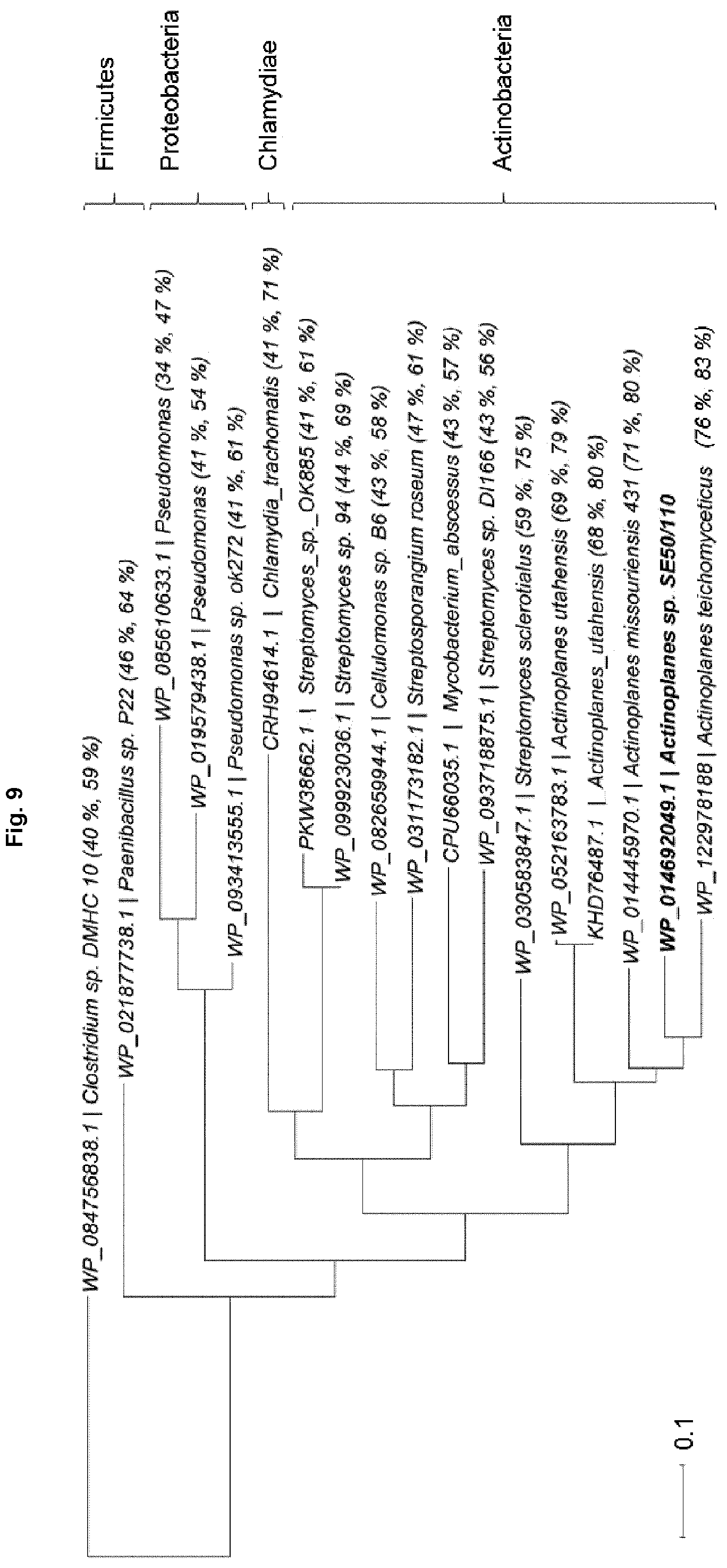 Patent US12351847 Figure 9 – Methods for the improved formation of acarbose
