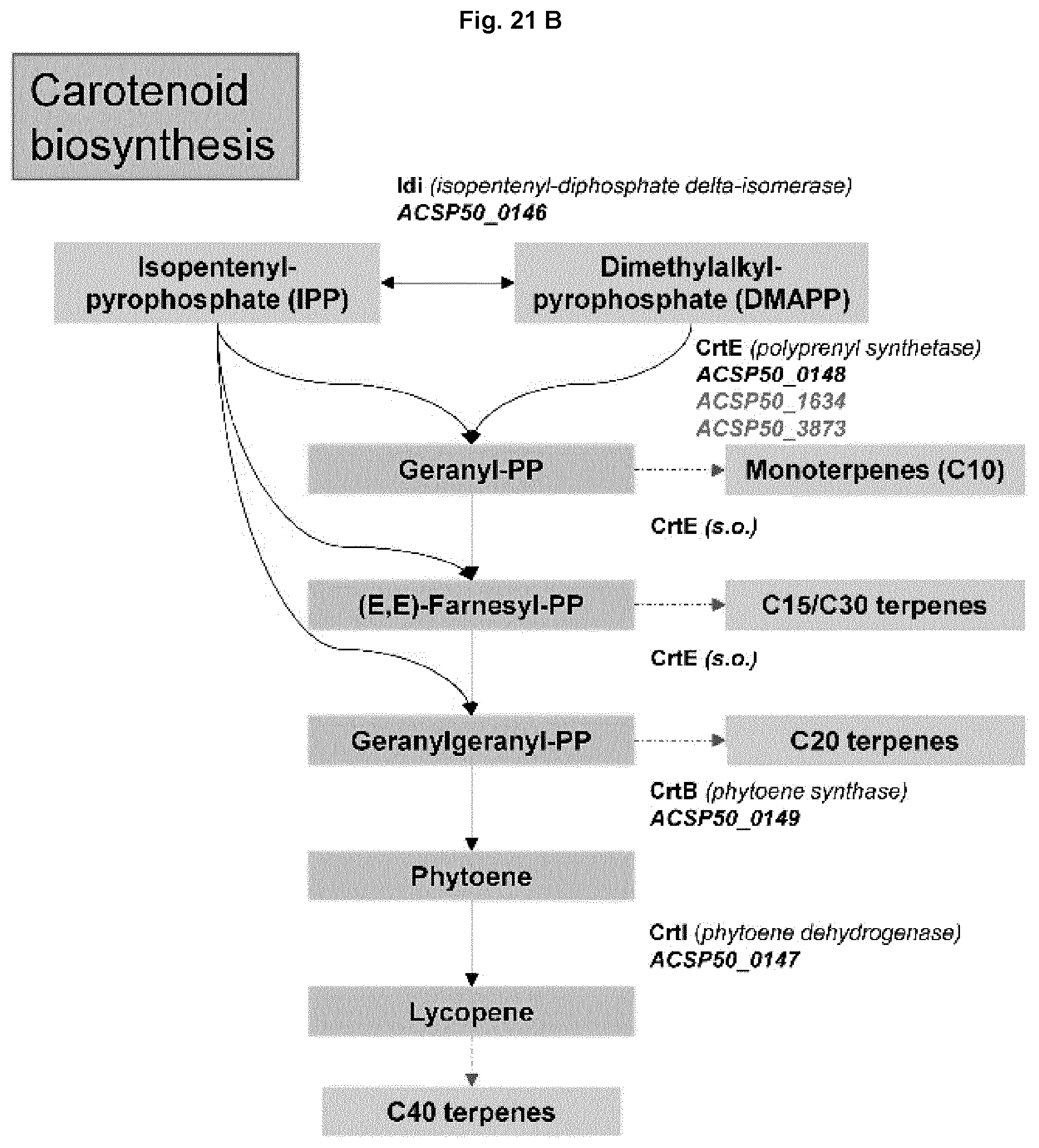 Patent US12351847 Figure 16 – Methods for the improved formation of acarbose