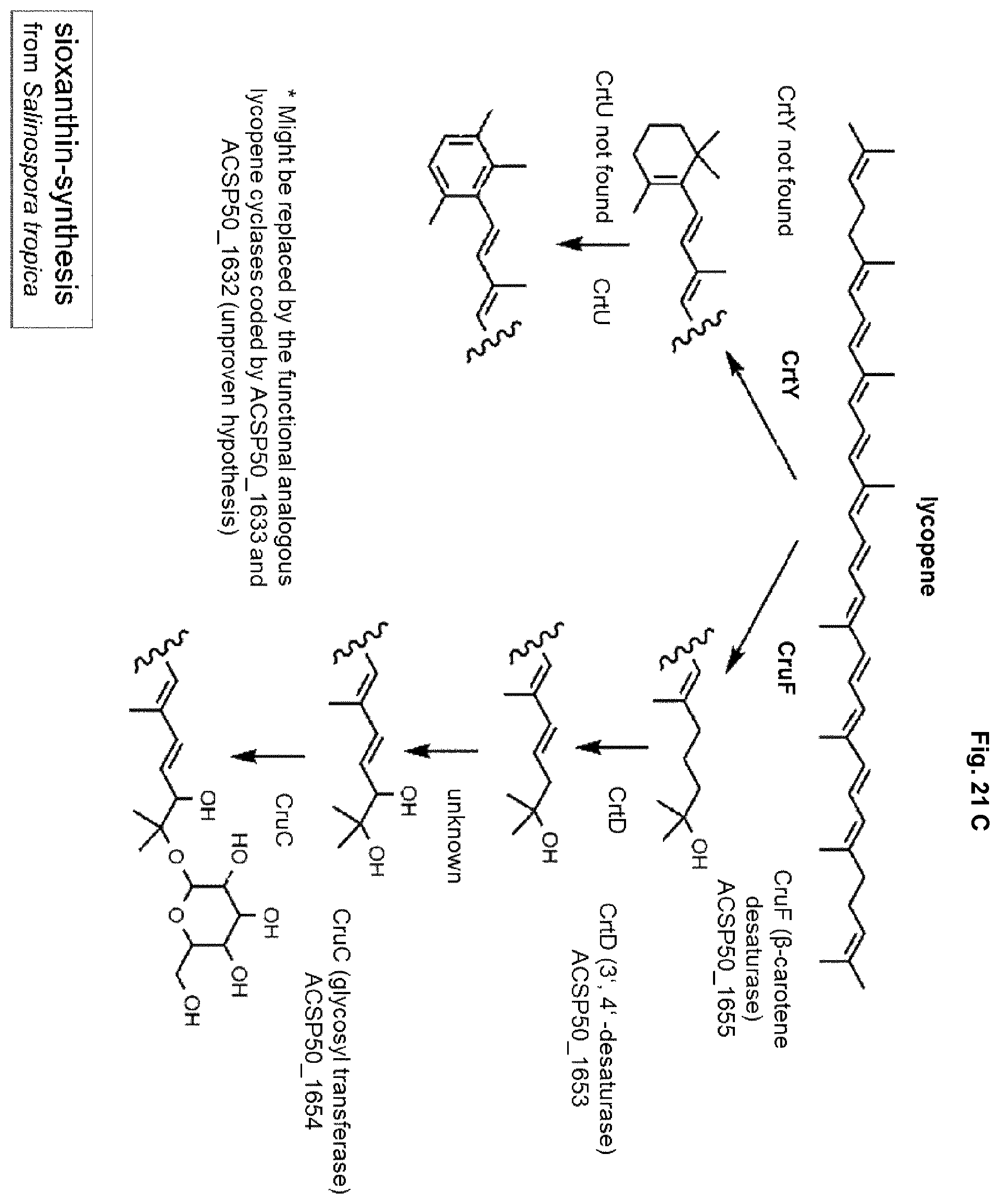 Patent US12351847 Figure 17 – Methods for the improved formation of acarbose
