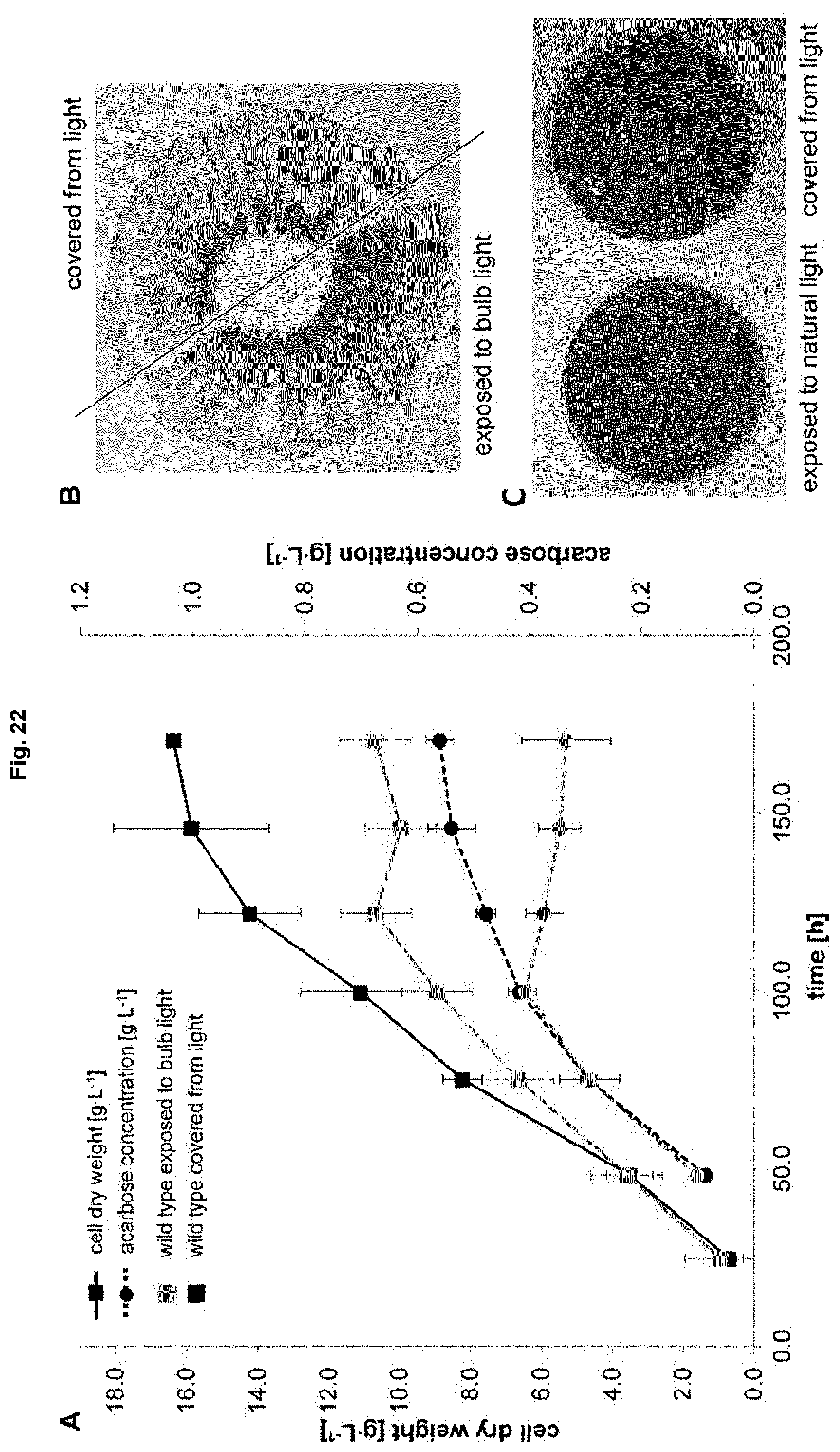Patent US12351847 Figure 19 – Methods for the improved formation of acarbose
