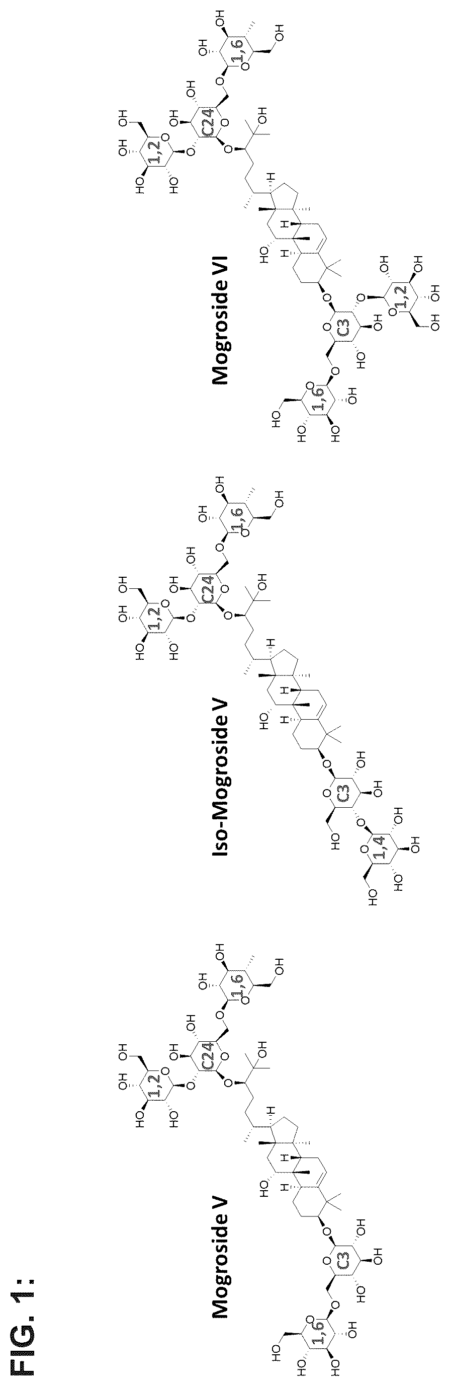 Patent US12351849 Figure 1 – Microbial production of triterpenoids including mogrosides