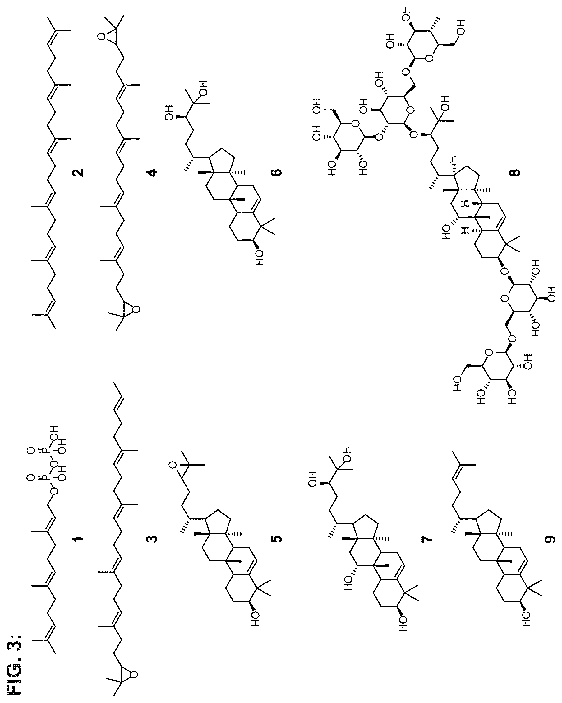 Patent US12351849 Figure 3 – Microbial production of triterpenoids including mogrosides