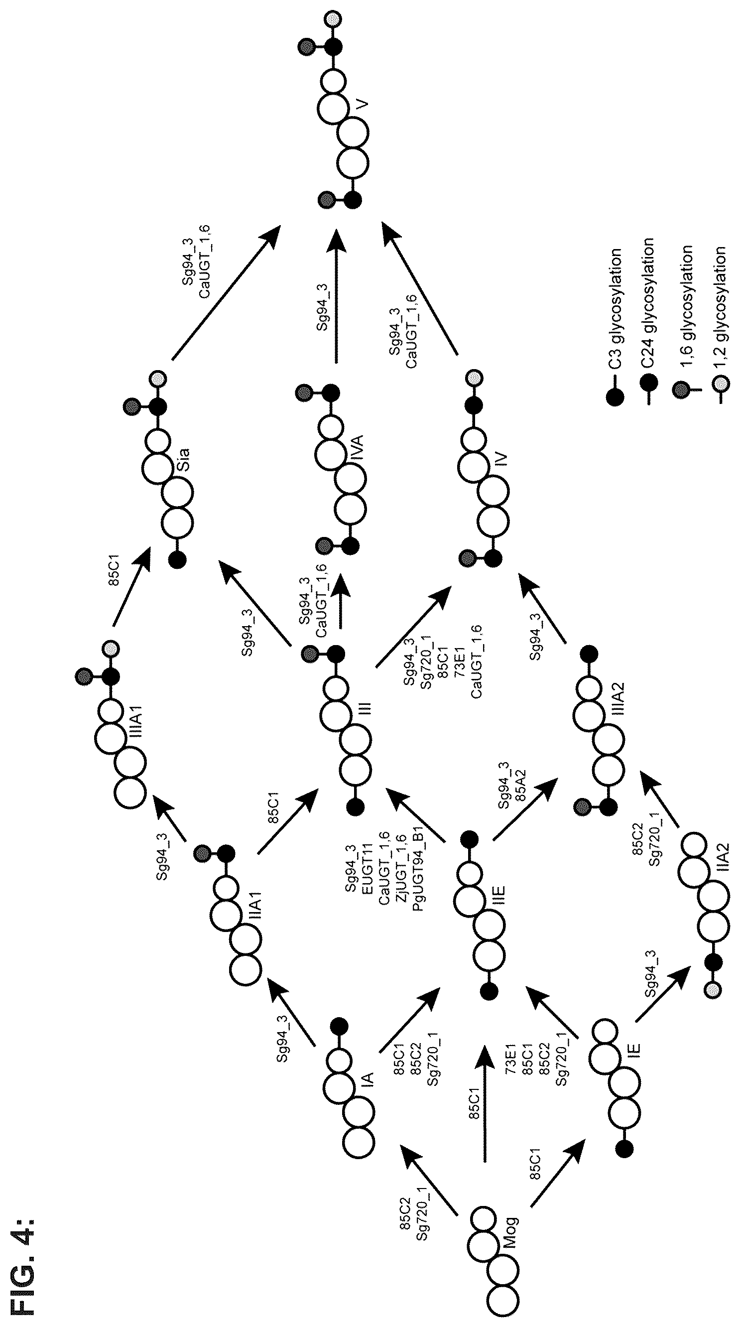 Patent US12351849 Figure 4 – Microbial production of triterpenoids including mogrosides