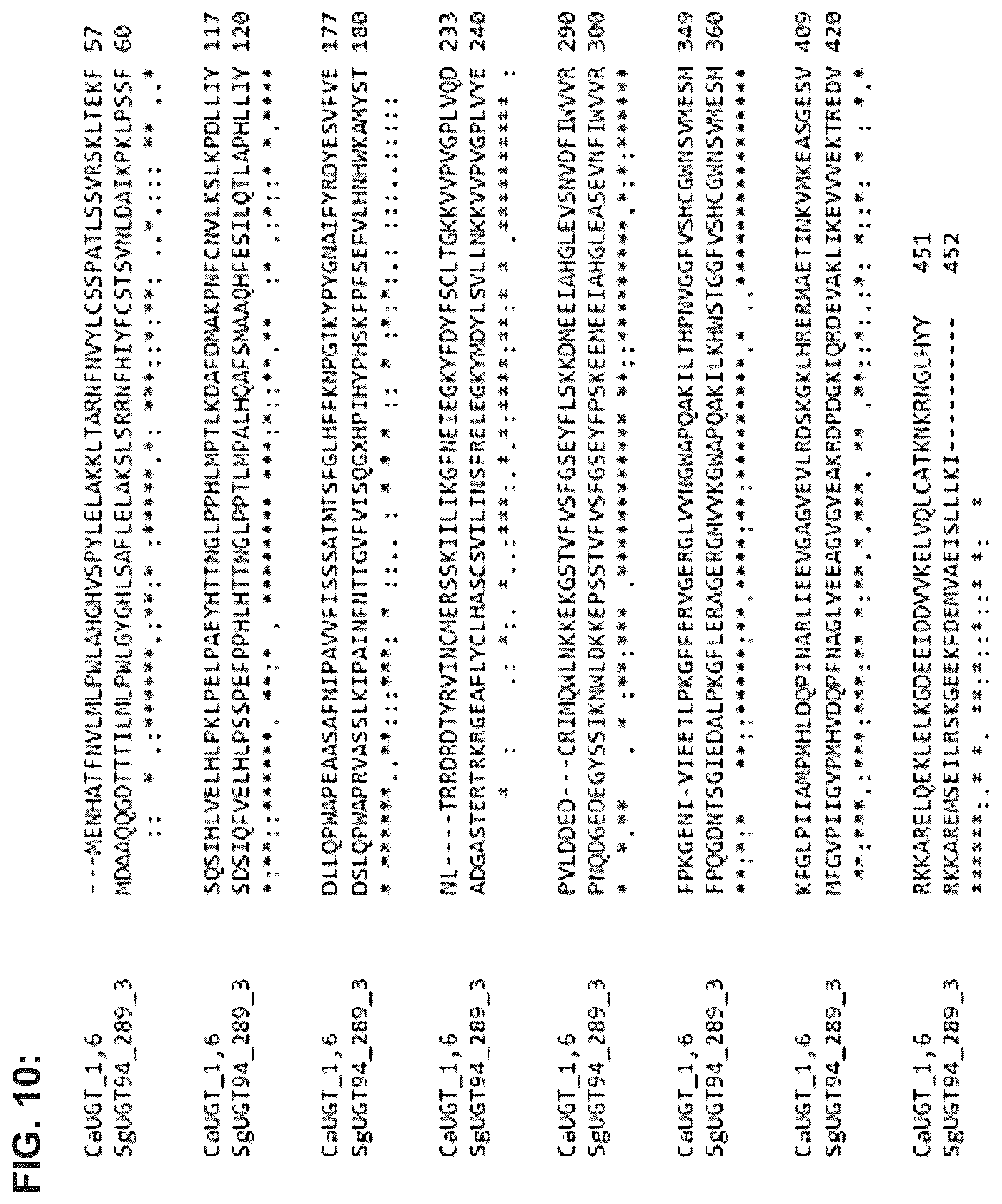 Patent US12351849 Figure 11 – Microbial production of triterpenoids including mogrosides