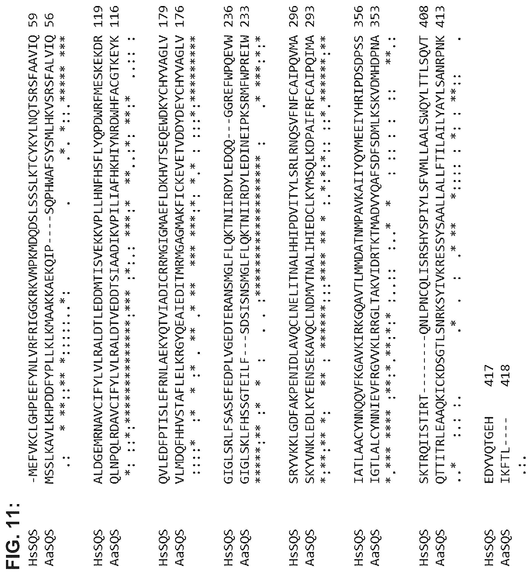 Patent US12351849 Figure 12 – Microbial production of triterpenoids including mogrosides