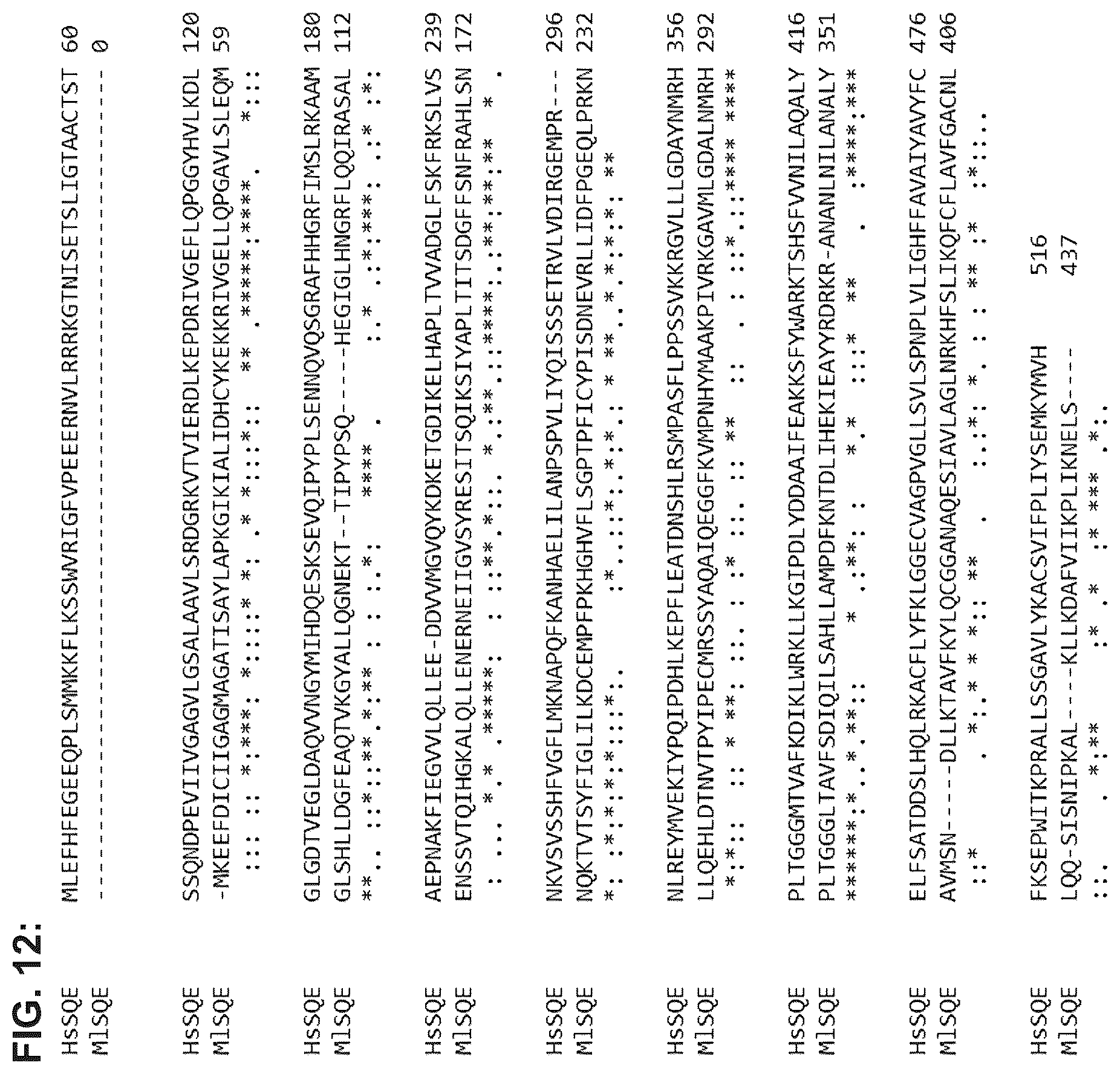 Patent US12351849 Figure 13 – Microbial production of triterpenoids including mogrosides