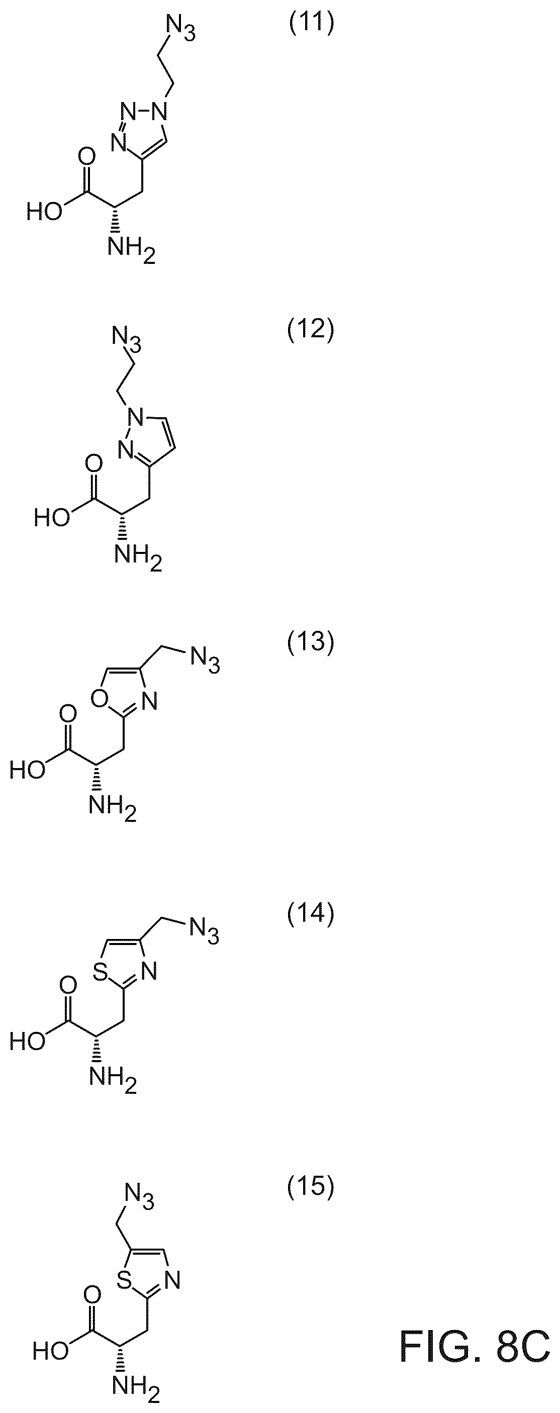 Patent US12351850 Figure 8 – Methods of producing full-length antibodies using E. coli