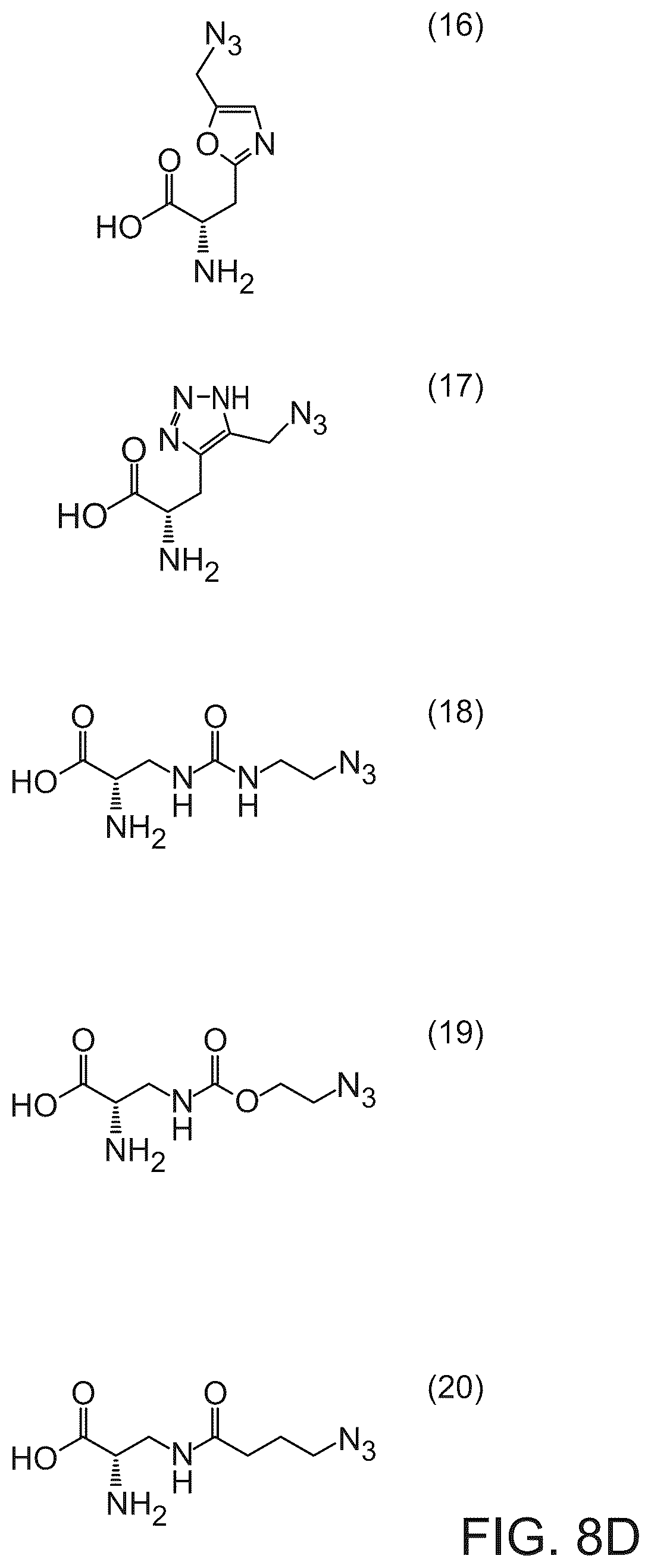 Patent US12351850 Figure 9 – Methods of producing full-length antibodies using E. coli
