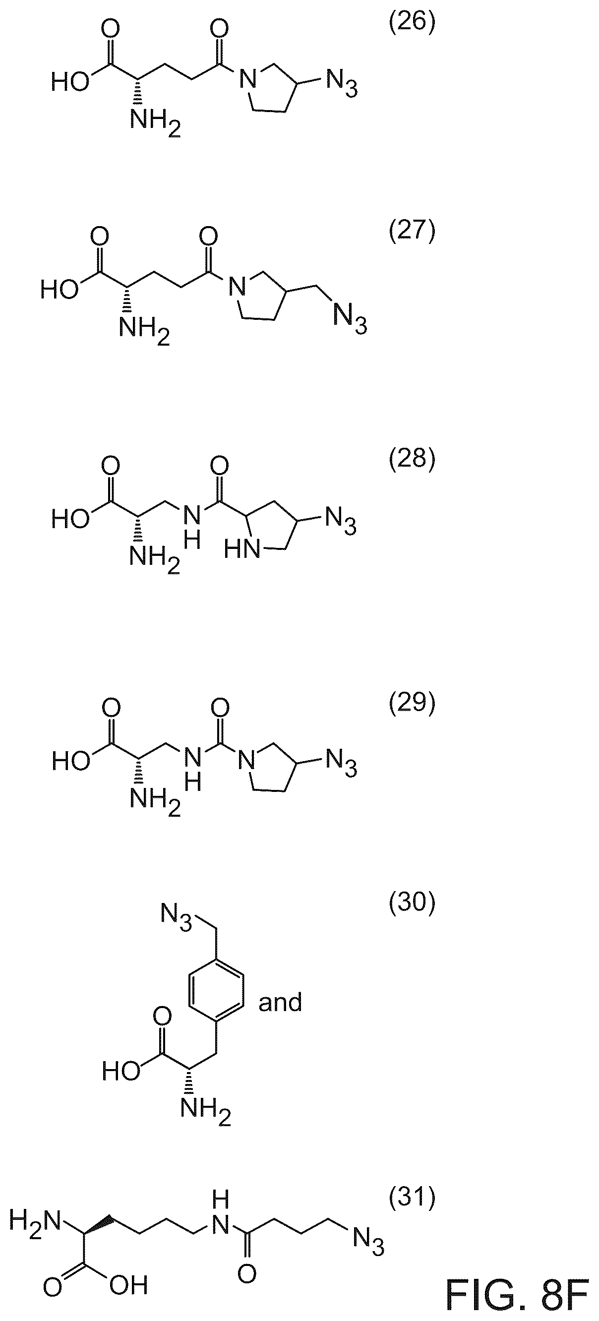 Patent US12351850 Figure 11 – Methods of producing full-length antibodies using E. coli
