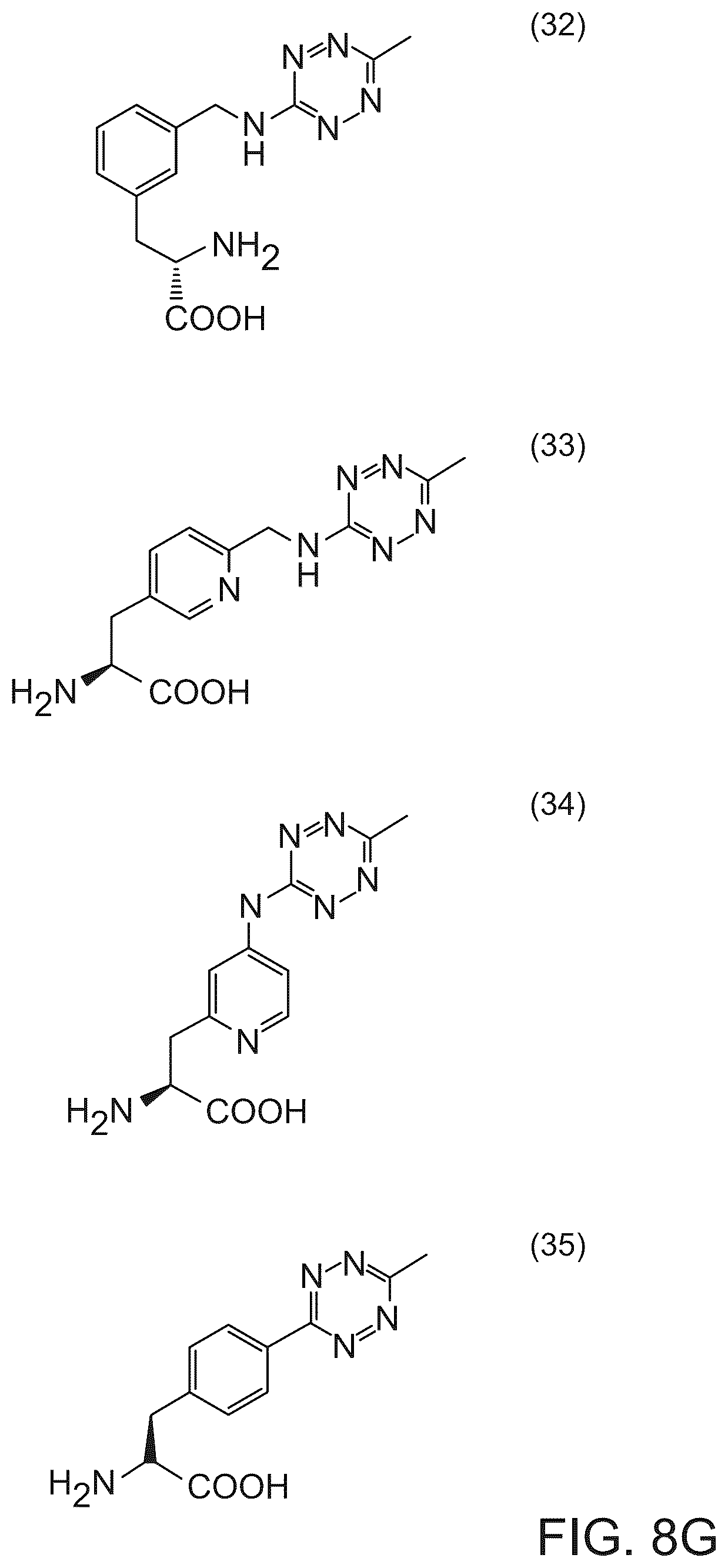 Patent US12351850 Figure 12 – Methods of producing full-length antibodies using E. coli