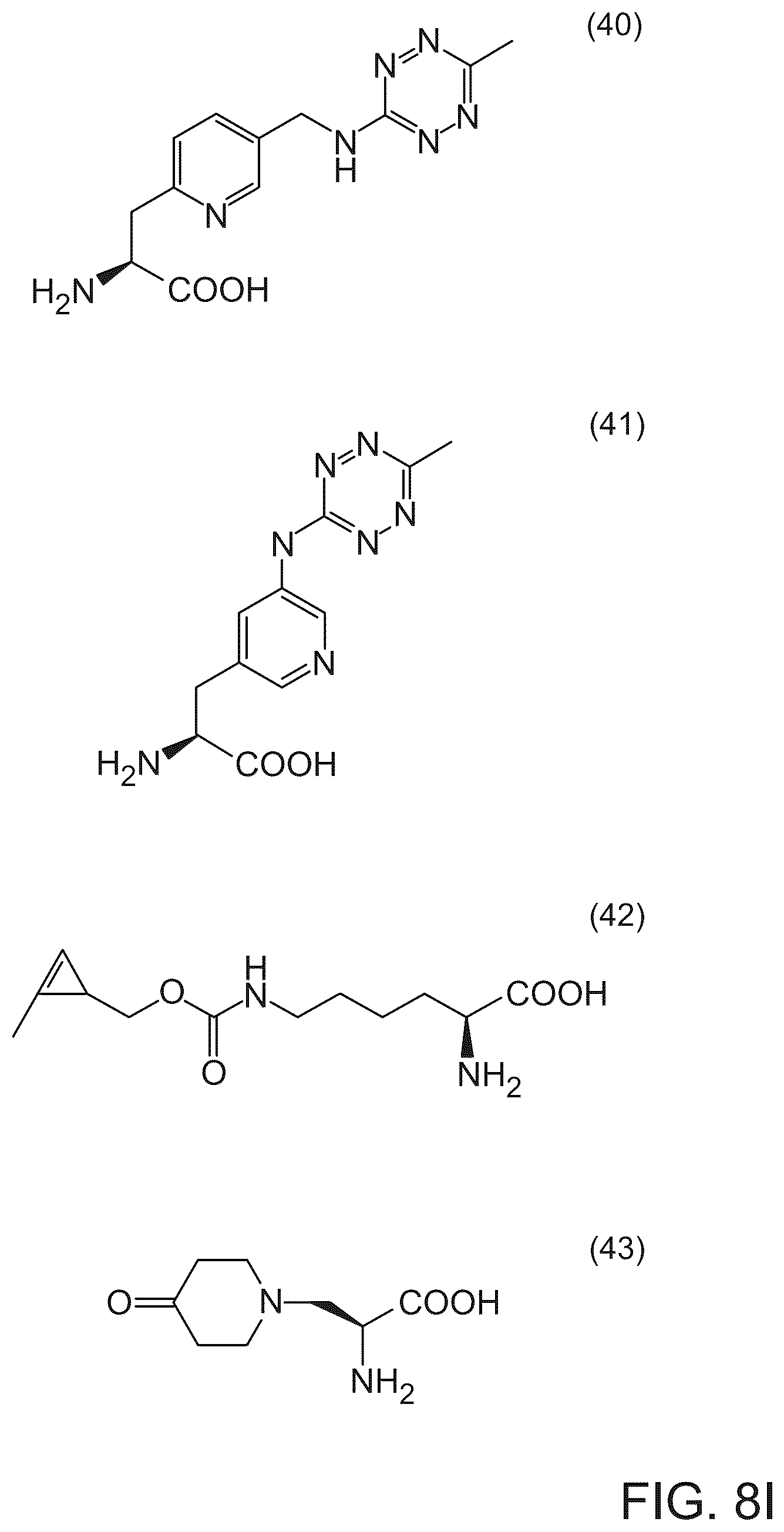 Patent US12351850 Figure 14 – Methods of producing full-length antibodies using E. coli