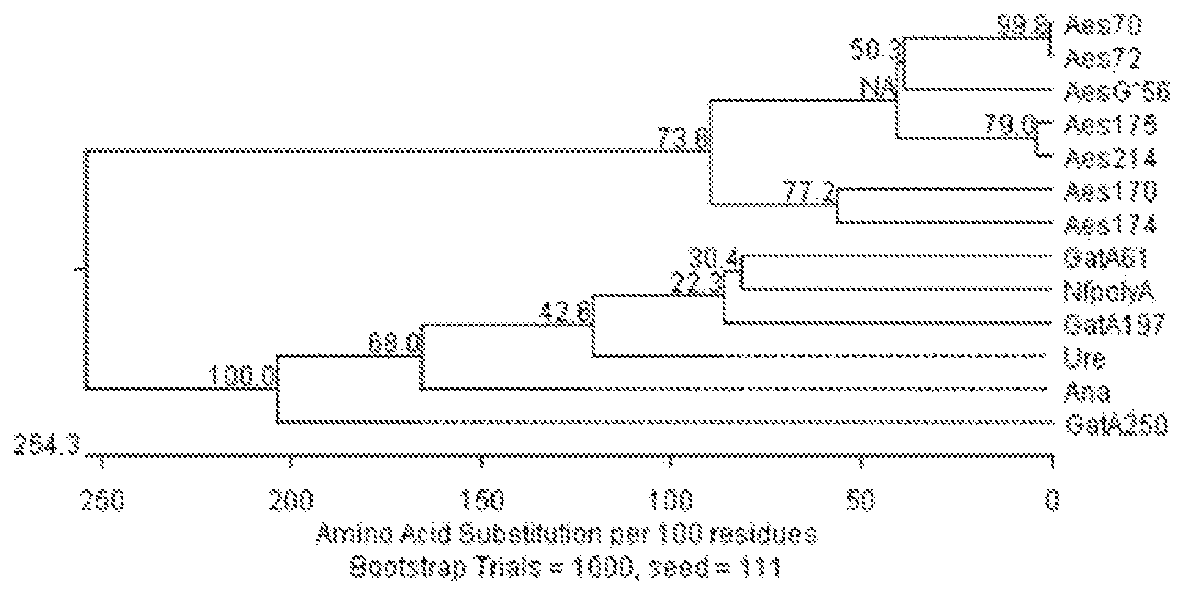 Patent US12351853 Figure 1 – Urethanases for the enzymatic degradation of polyurethanes